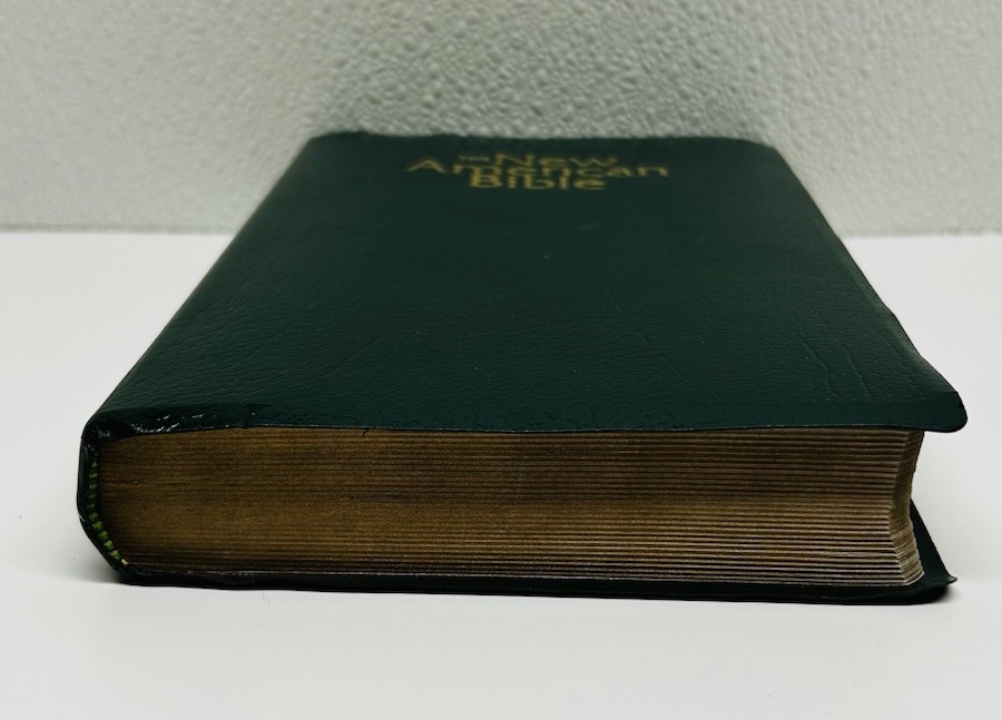 Green THE NEW AMERICAN BIBLE~Official Catholic World Press Bible book~c.2011