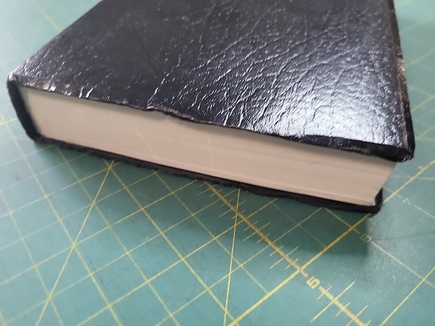 HCSB Gift and Award Bible, Black Imitation Leather