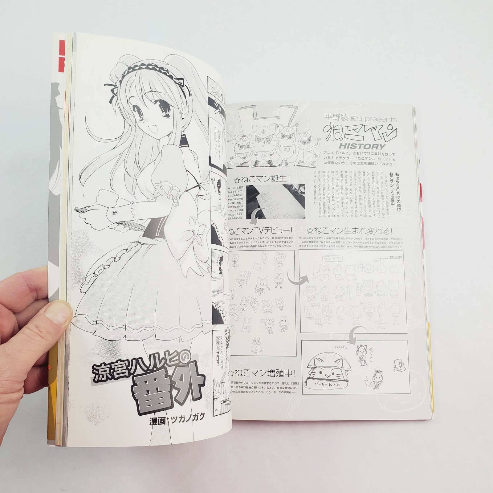 The Melancholy of Haruhi Suzumiya Official Fan Book Art Book JP Oversized 2006