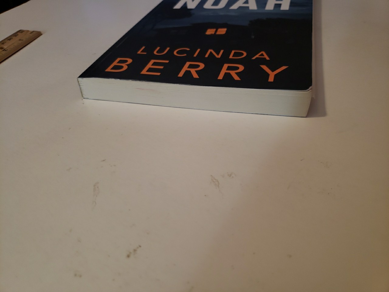 Saving Noah Paperback Book 2017 Lucinda Berry
