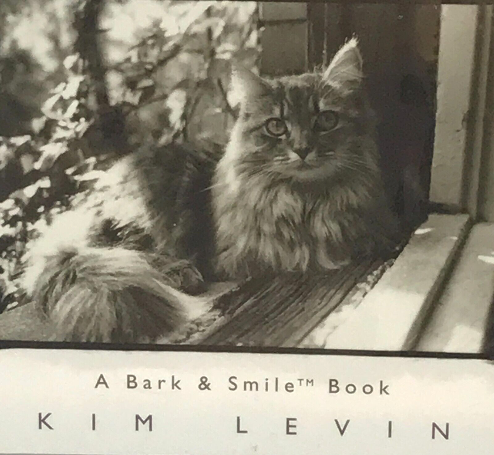 Why We Love Cats by Kim Levin. Kitty, Pets at Play, Best Friend Furry and Fluffy