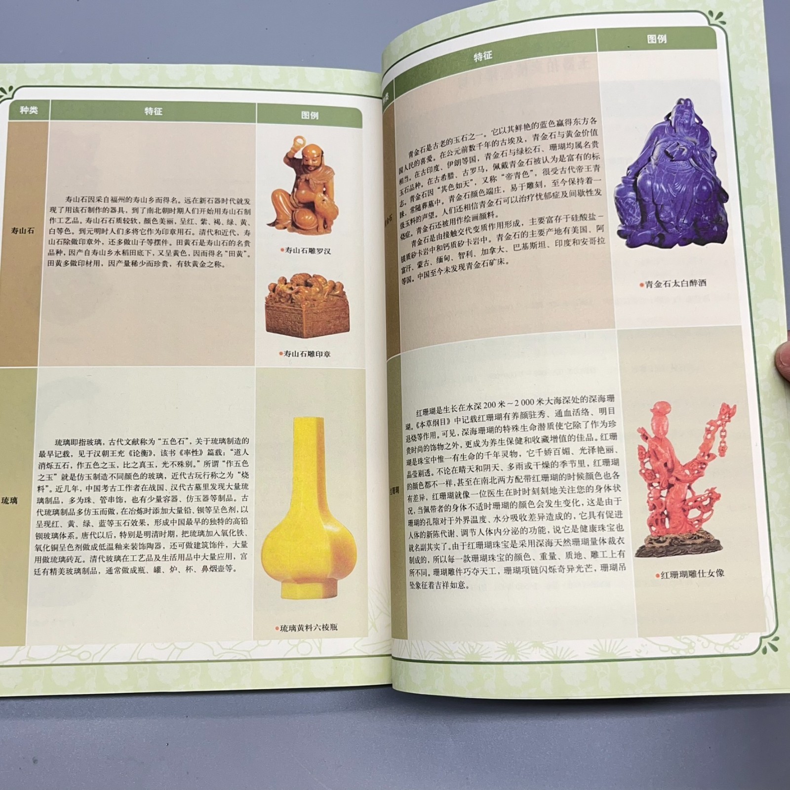 Ancient Jade Appraisal Twenty Lectures Appraising Treasures #6 Chinese 古玉鉴定二十讲
