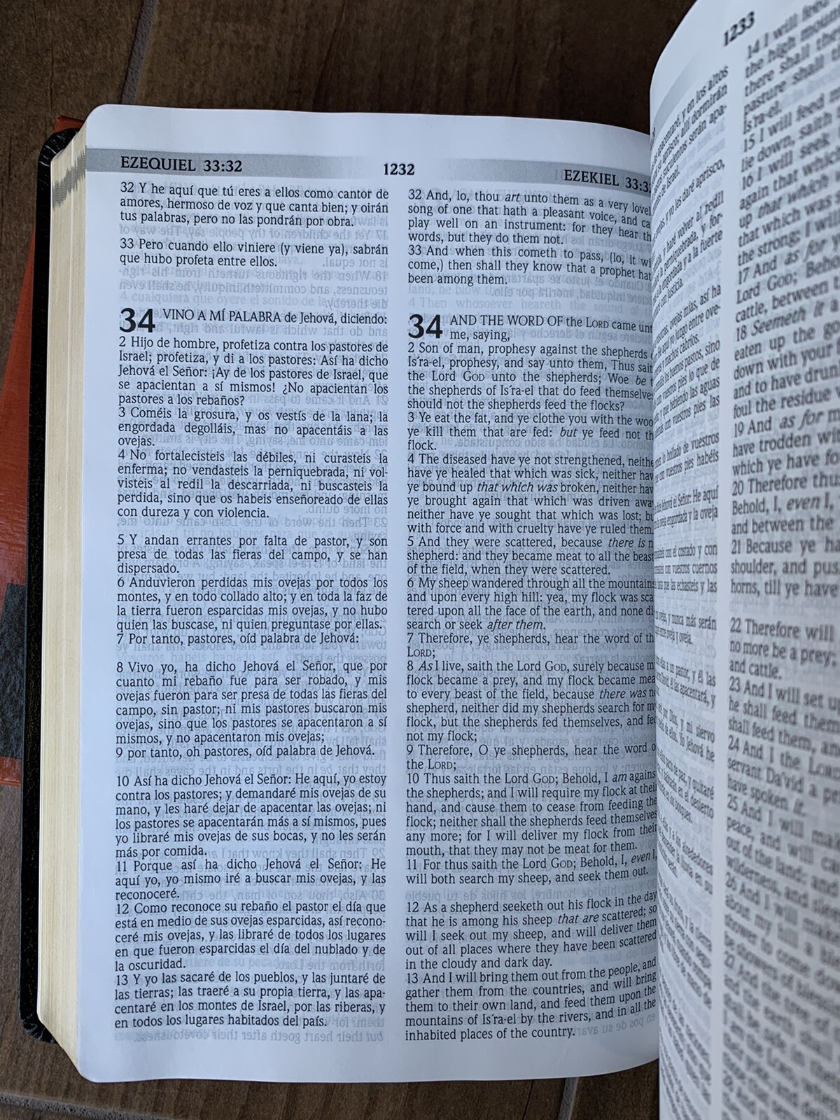 BIBLIA BILINGUE REINA VALERA1960/KJV Bilingual Bible PIEL FABRICADA 10 PUNTOS