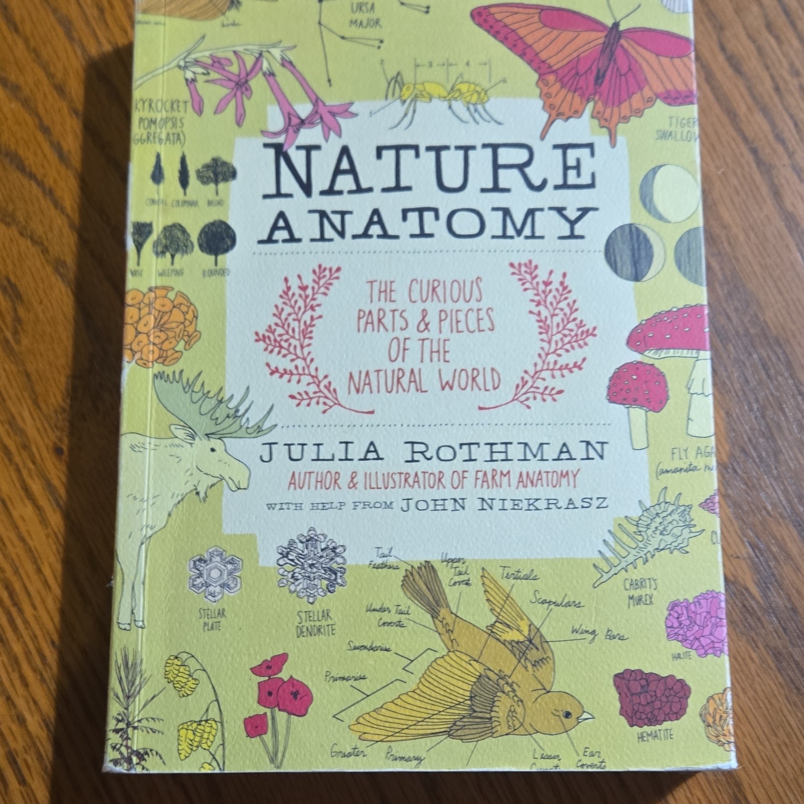 Julia Rothman lot of 2: Nature Anatomy & Farm Anatomy PB Illustrated