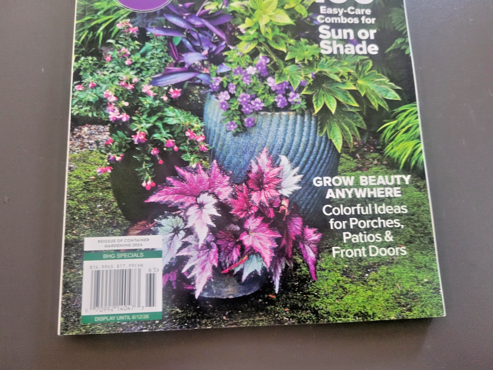 Container Gardening by BH&G – 100 Easy-Care Combos for Sun or Shade- Like A Pro