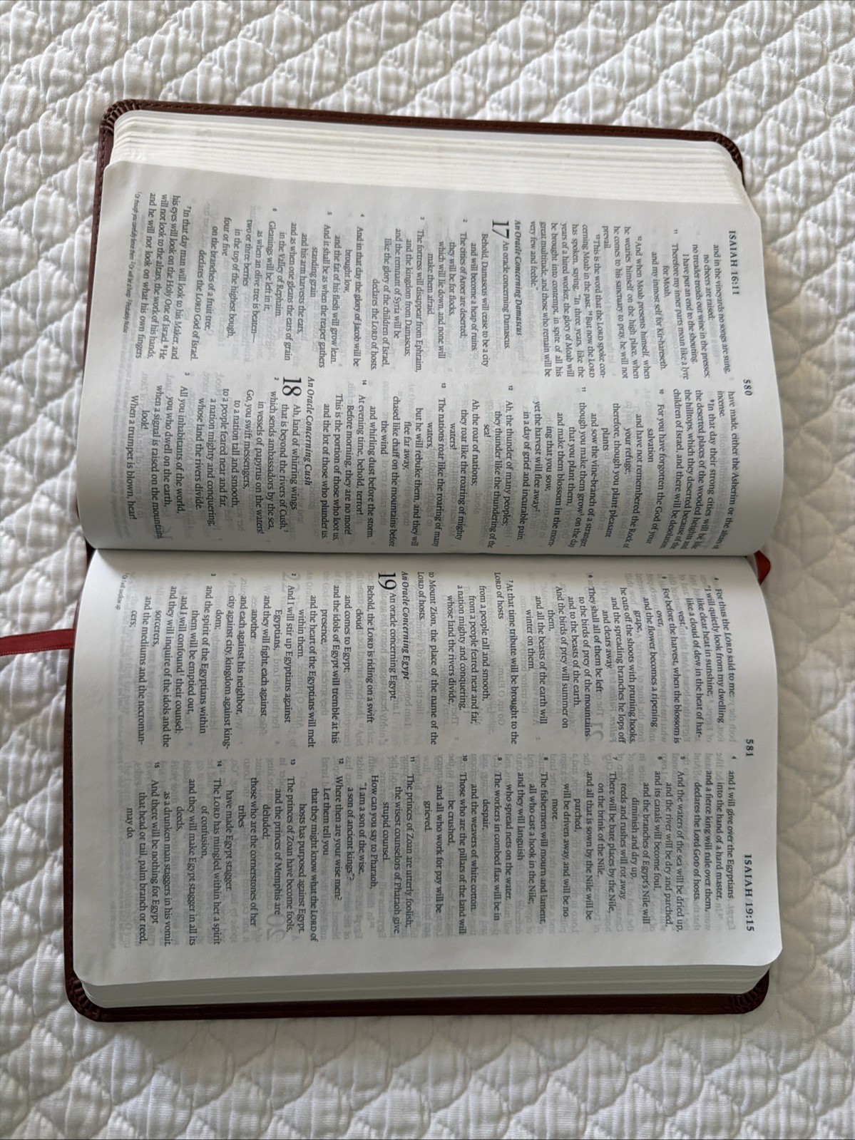 ESV Thinline Bible TruTone Nutmeg Filigree Design Red Letter Text 9781581347210