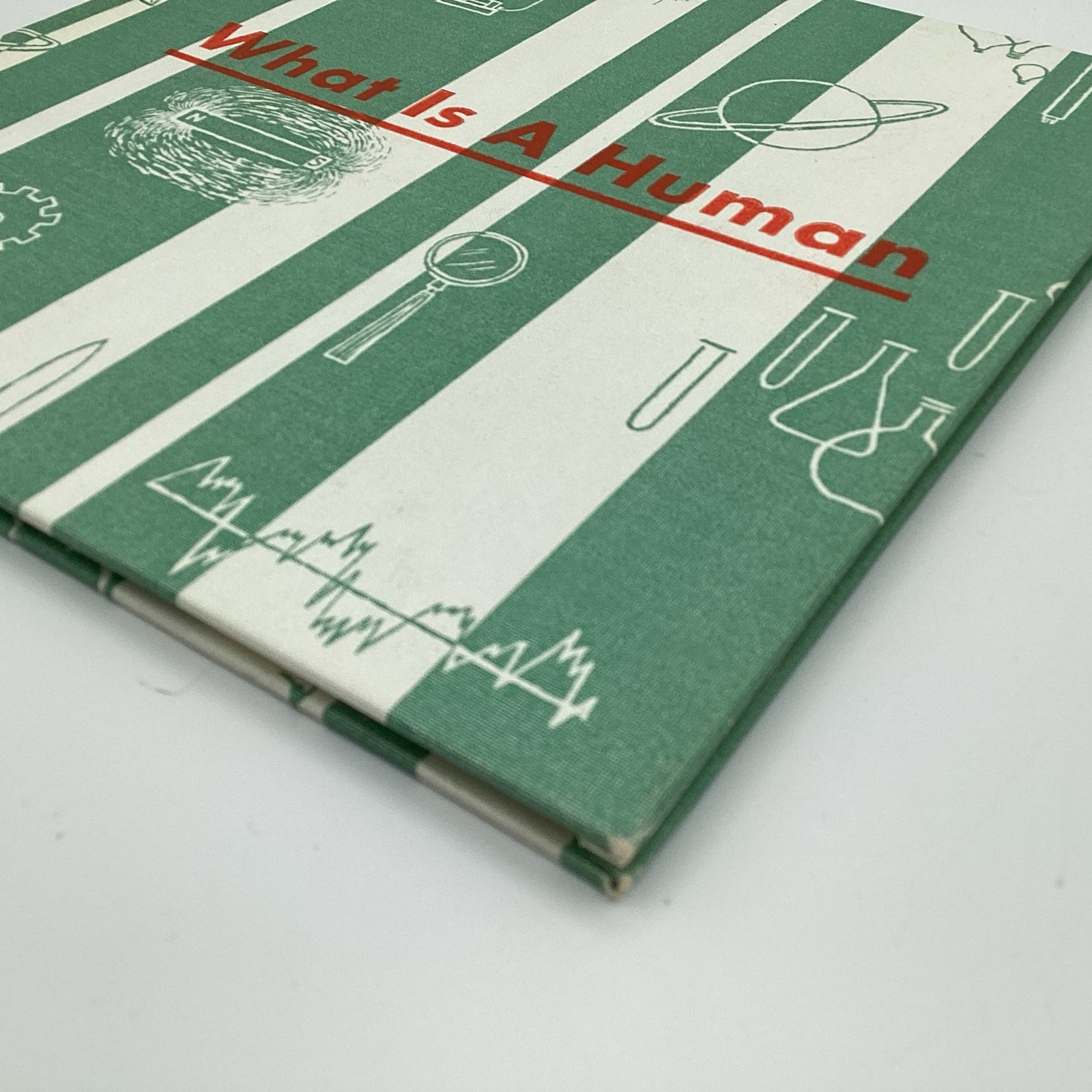 WHAT IS A HUMAN, (what is series) 1964 Benefic Press, by Melvin Alexenberg