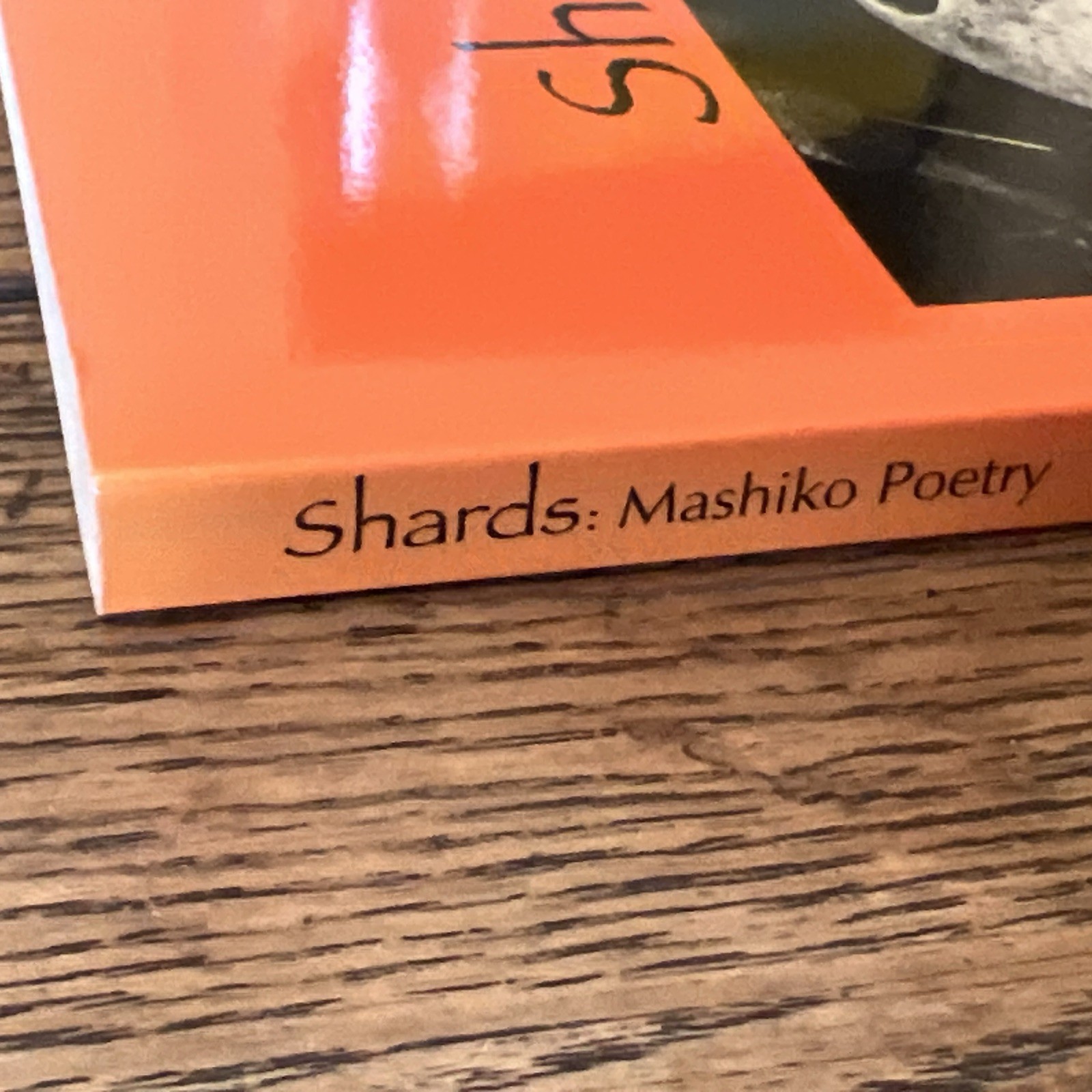 Shards Mashiko Poetry by Ann Holmes
