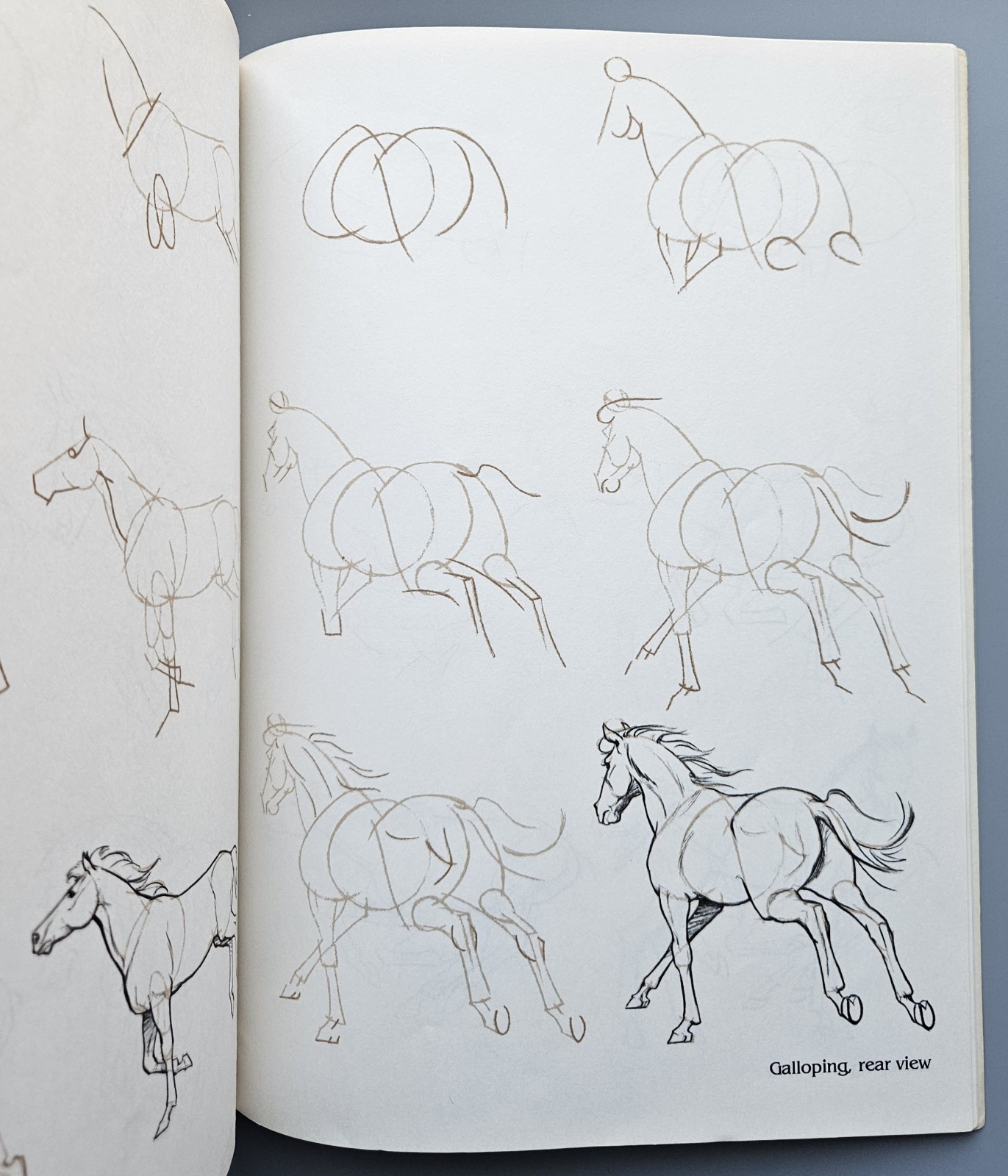 Draw 50 Animals Books Lot Lee J Ames Horses Cats Dogs Step-by-Step Drawing