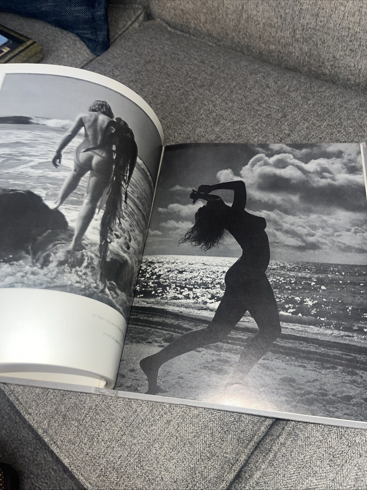 The Nude Andre De Dienes, hardcover, 1967 B&W Nude Photography