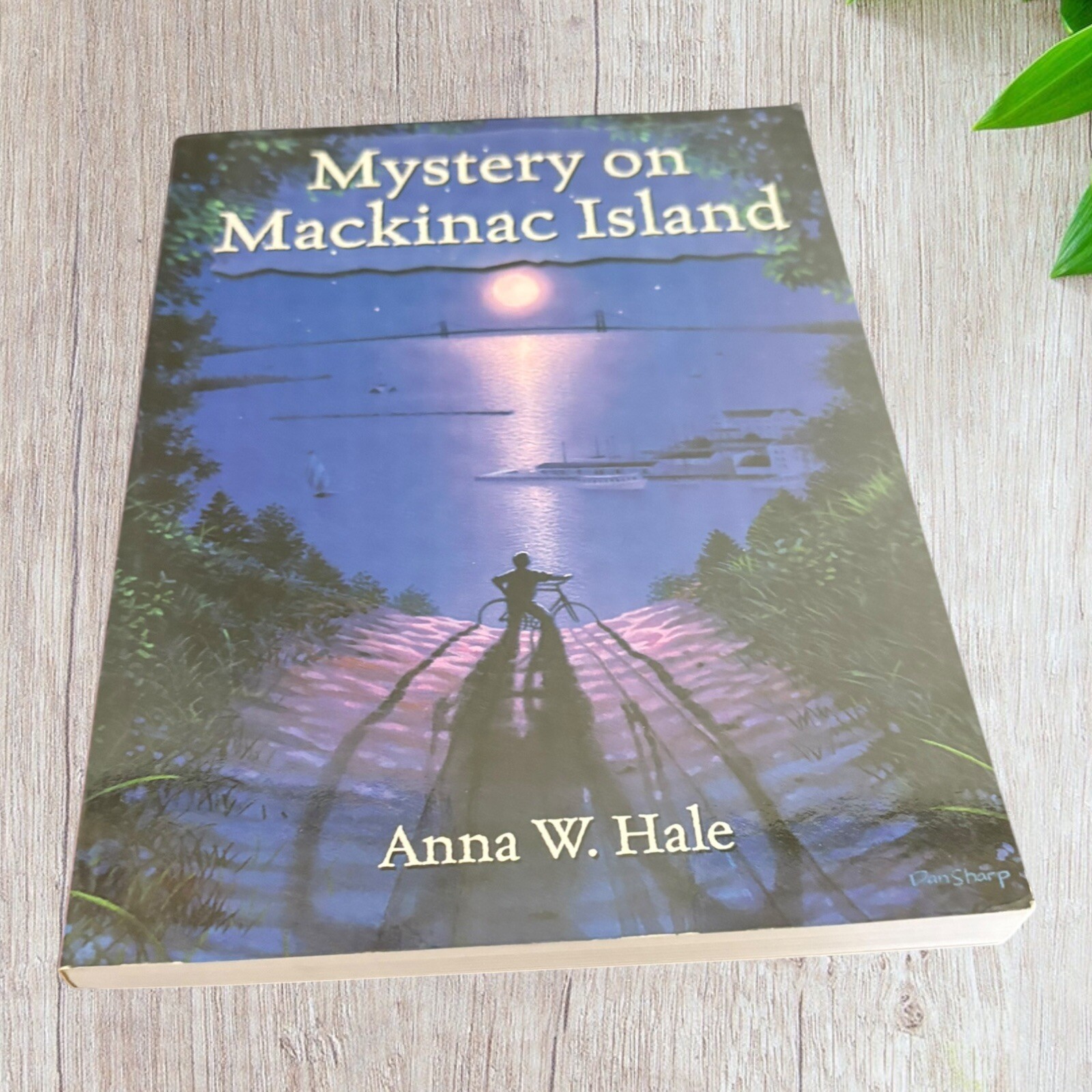 Mystery on MacKinac Island by Anne W. Hale Paperback
