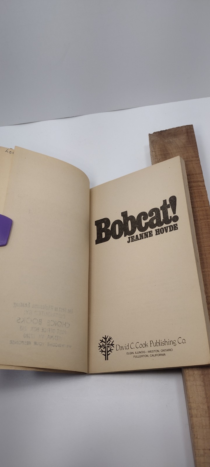 BOBCAT by Jeanne Hovde 1978 Paperback