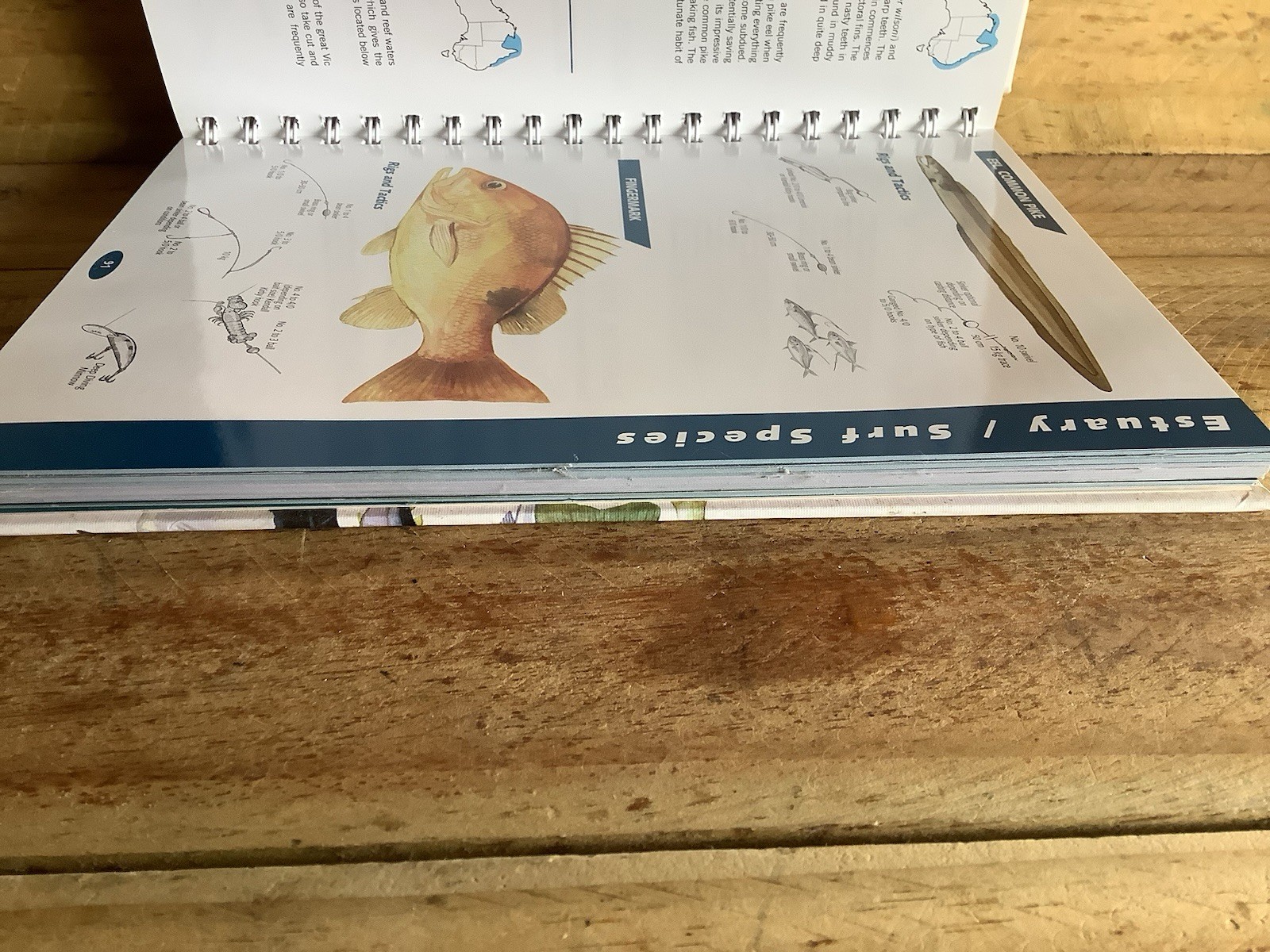 AUSTRALIA FISHING FISH GUIDE AFN BOOK WATER RESISTANT PAGES