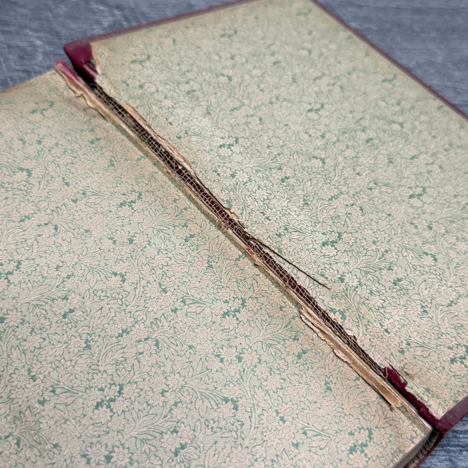 Swine Husbandry F.D. Coburn 1903 Revised Enlarged Illustrated Orange Judd Co.