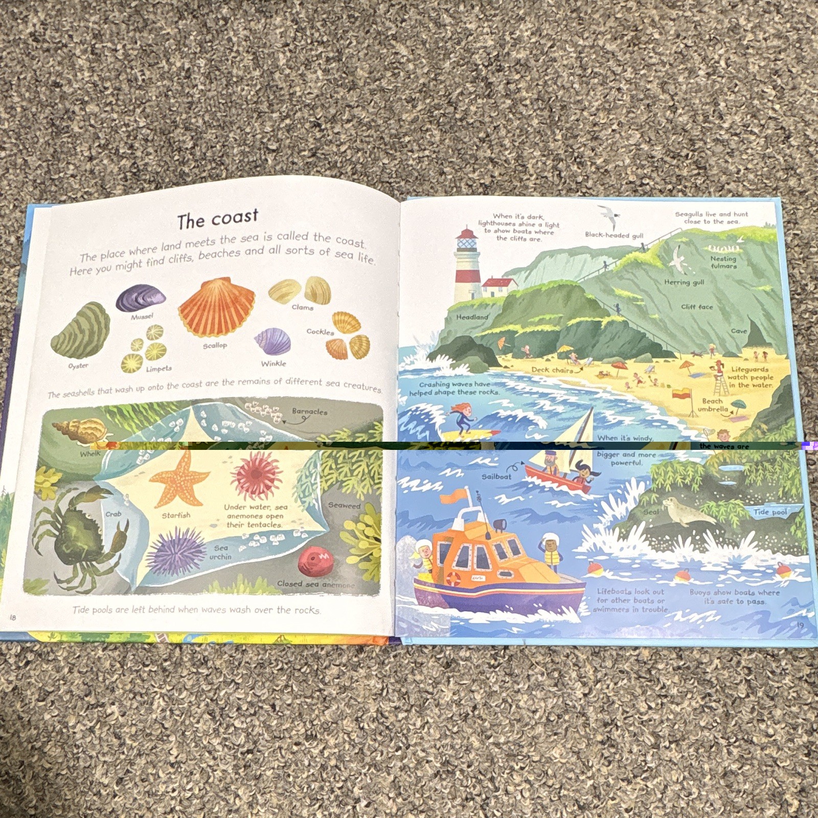 EDC Publishing My Very First Our World Book IR Matthew Odom 2018 Hardcover