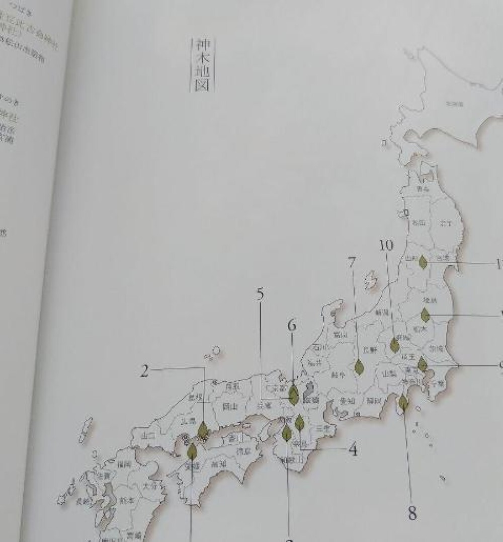 Toshiro Kawase – “God’s Tree: Go/Visit” Japanese sacred tree art