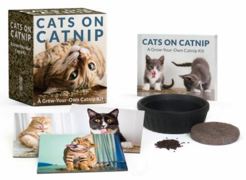 Cats on Catnip: A Grow-Your-Own Catnip Kit (RP Minis) by Marttila, Andrew