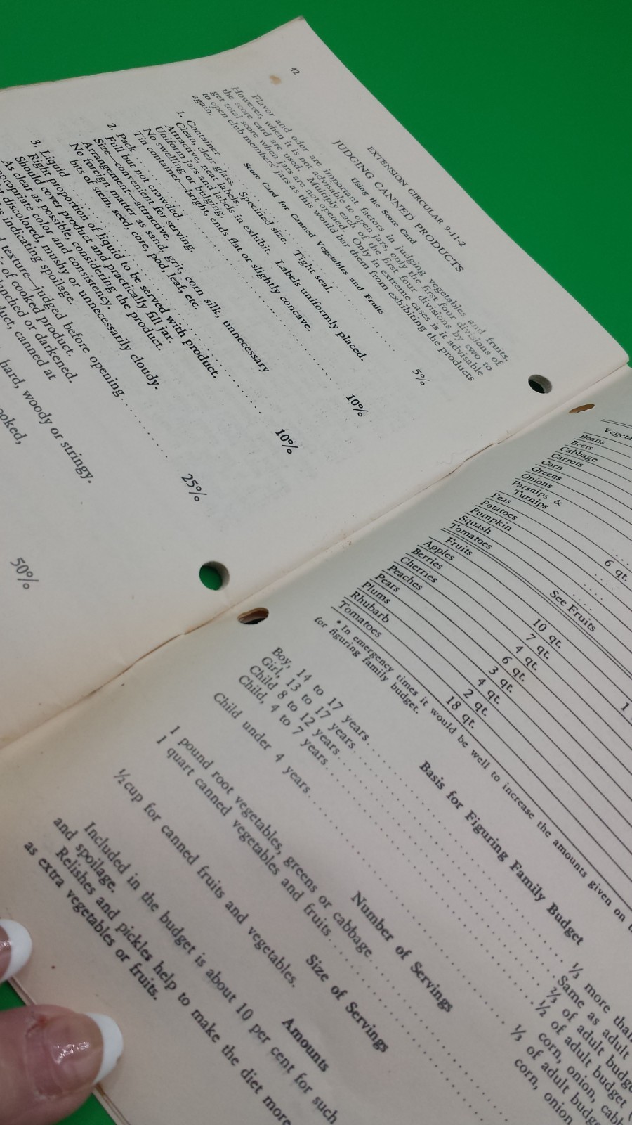 NEBRASKA 4H Hows and Whys for young cooks 45 pages RARE classic