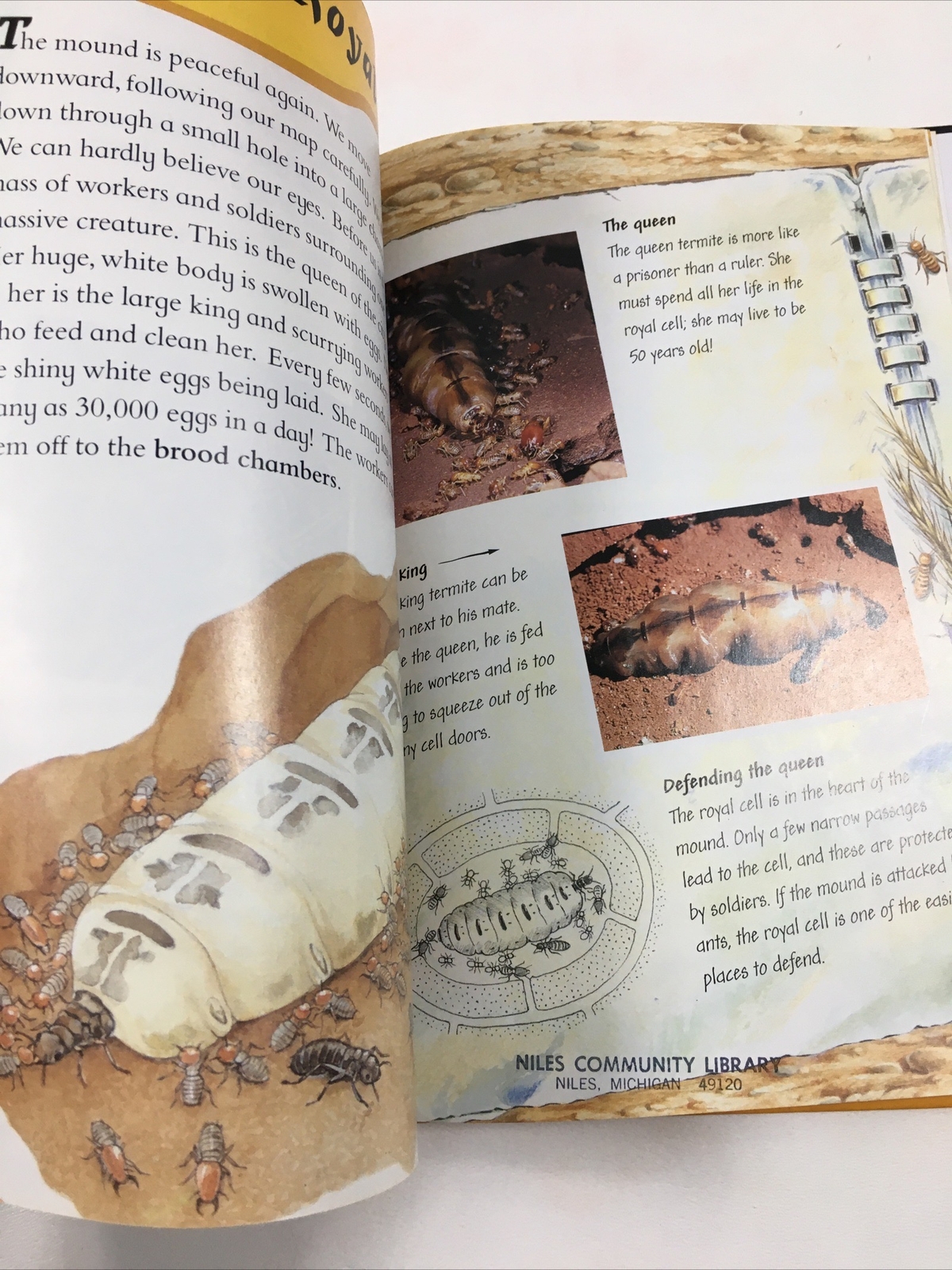 Through a Termite City – Carole Telford (Hardcover, 1998) Amazing Journeys Ser.