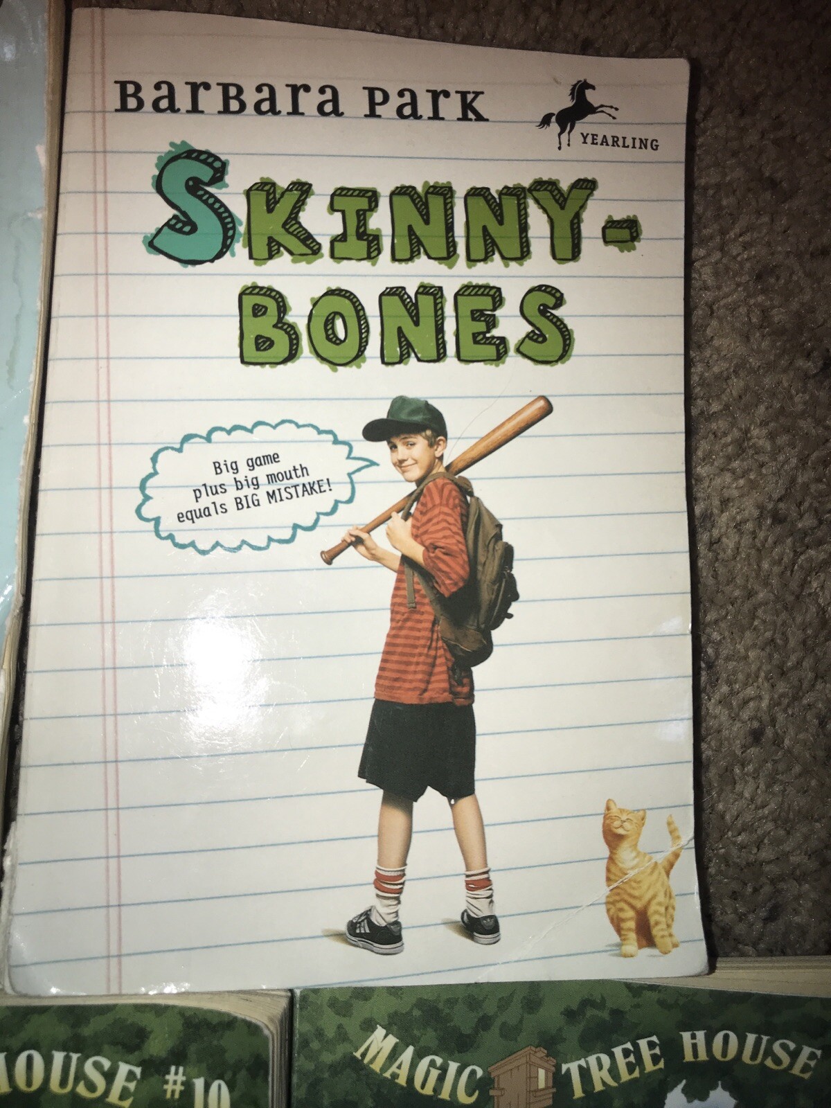 🔥7 Book Lot Magic Tree House Boxcar Children Long Way Henry Street Skinnybones