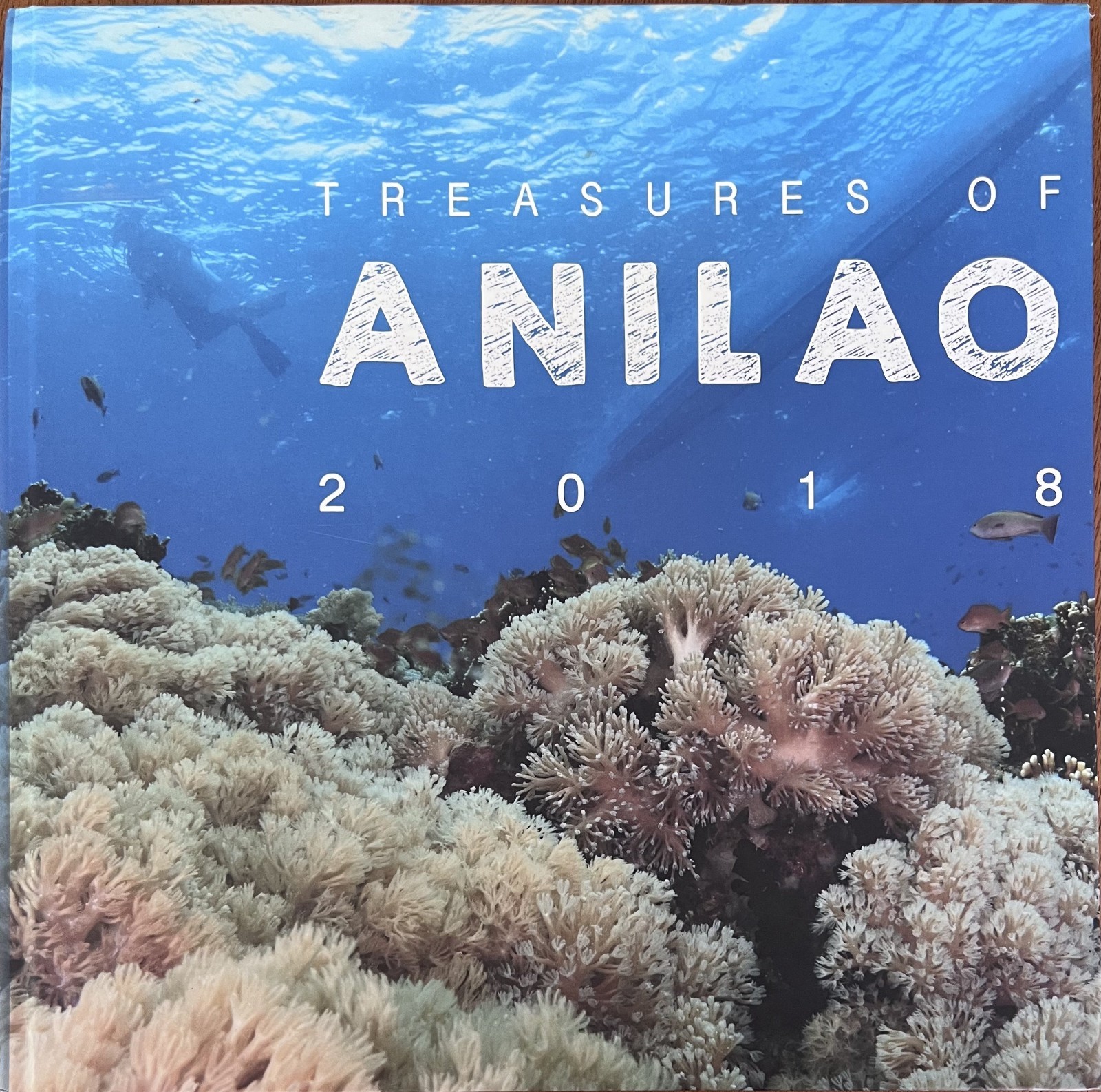 Philippines Diving: Anilao Batangas Verde Island Passage Coral Reef Photography