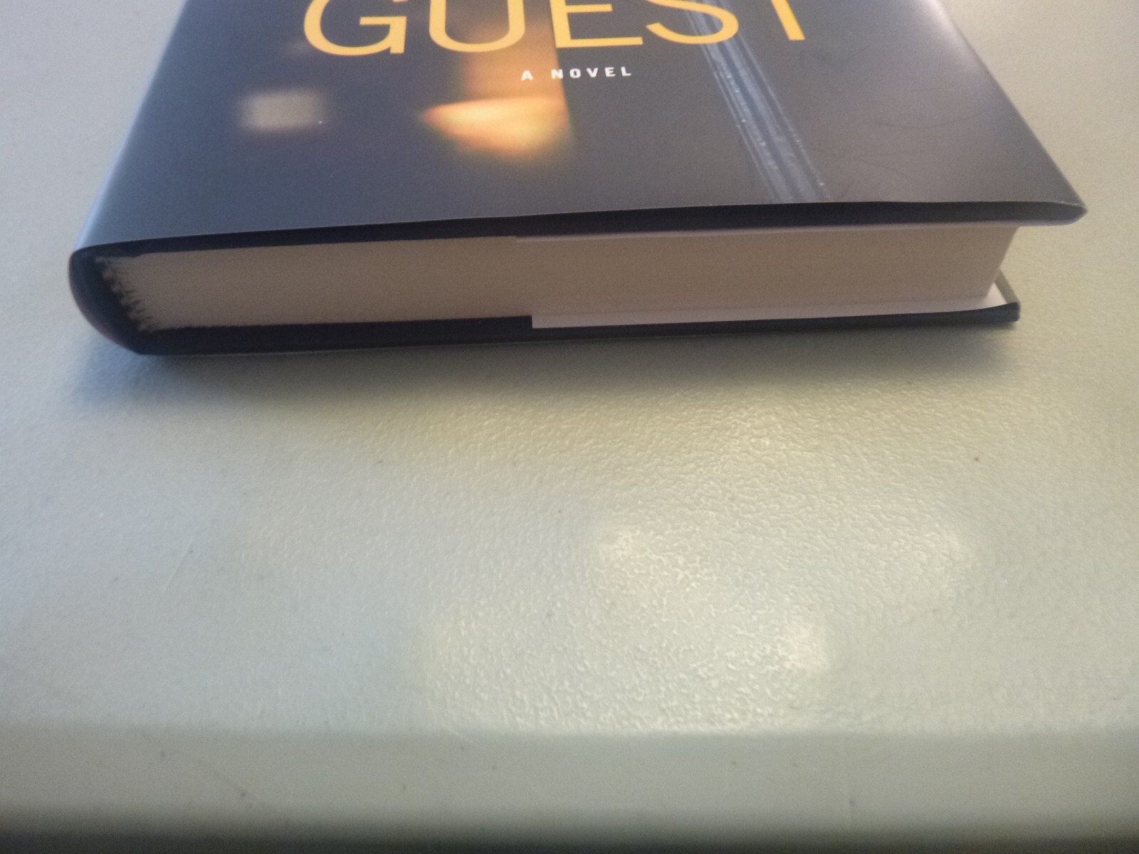 The Guest by B.A. Paris