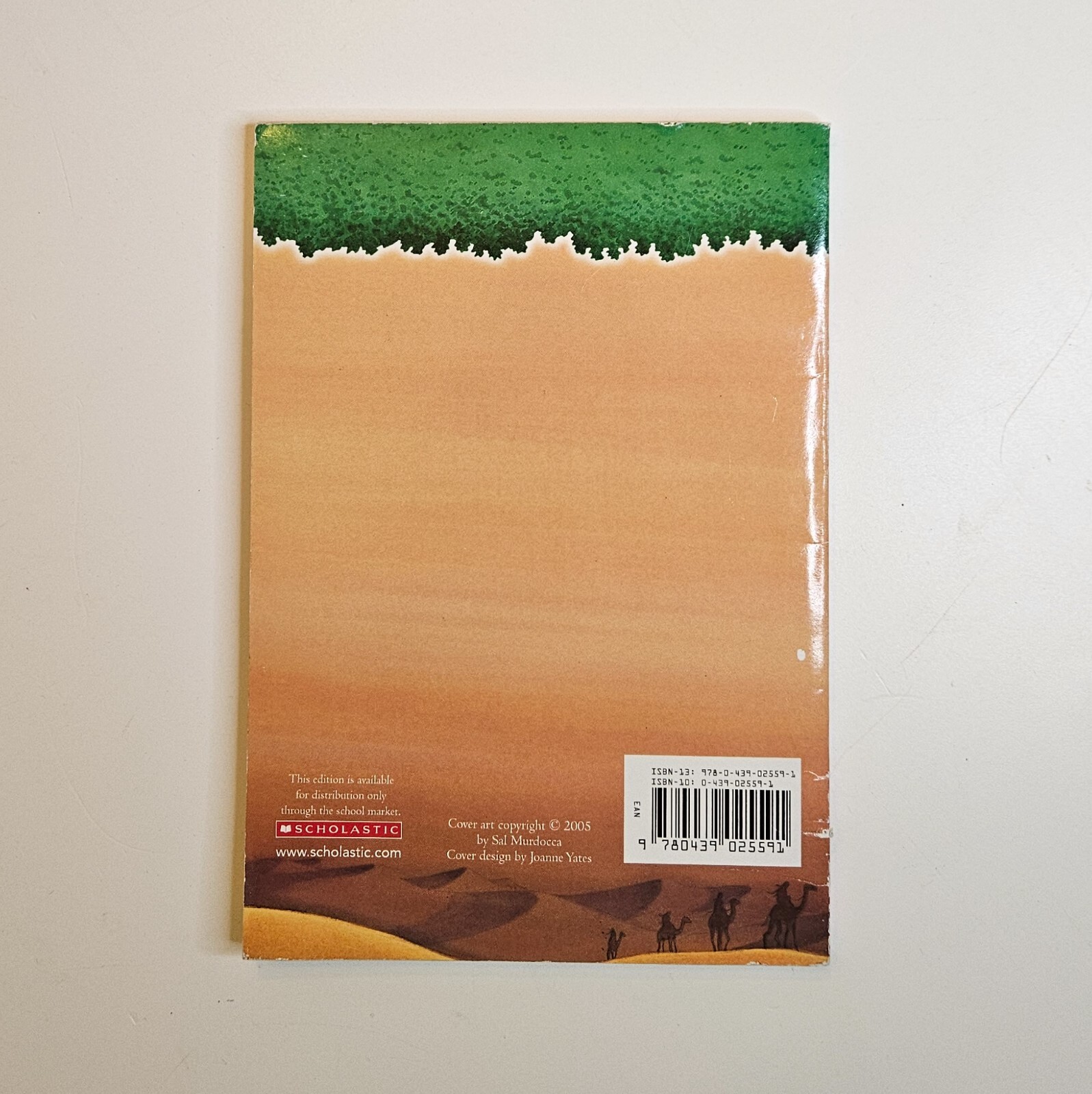 Lot 9 Magic Tree House Books #1 #6 #12 #13 #34 Research Guide Merlin Missions