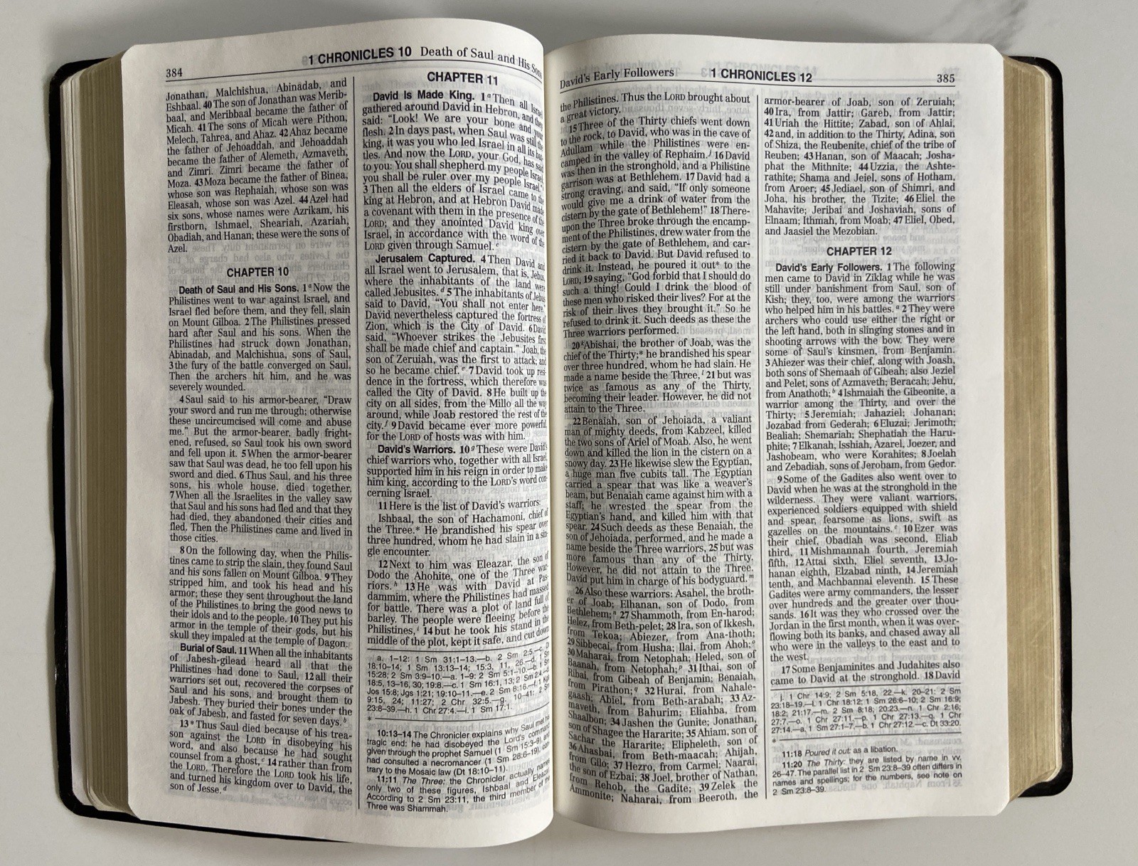 New American Bible Official Catholic Bible Red Letter Edition World Press 2402BL
