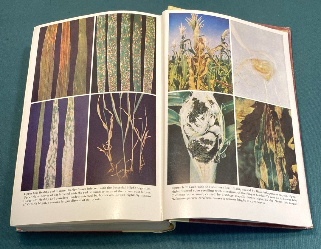 3 VINTAGE ~ USDA YEARBOOK OF AGRICULTURE ~ 1953 Plants~ 1958 Land ~1960 Power