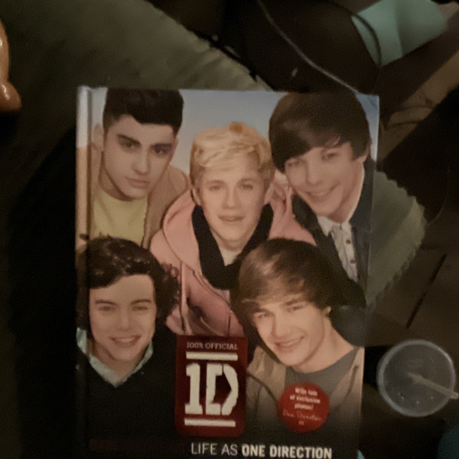 Dare to Dream: Life As One Direction by One Direction Hardcover Music Biography