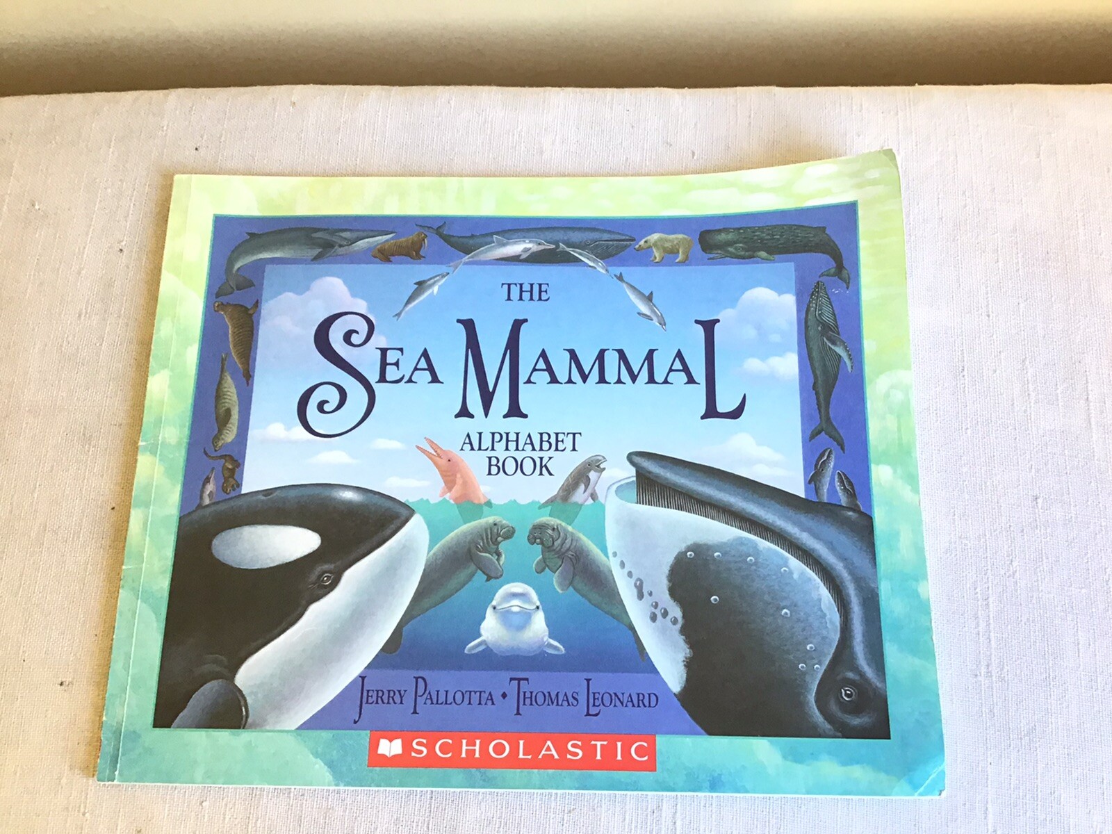 Mixed Lot Of 15 SC Childrens Illustrated Picture Books Teacher Classroom Set