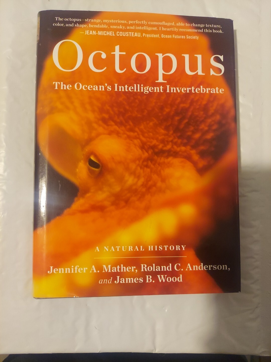 Octopus: The Ocean’s Intelligent Invertebrate – Hardcover – GOOD