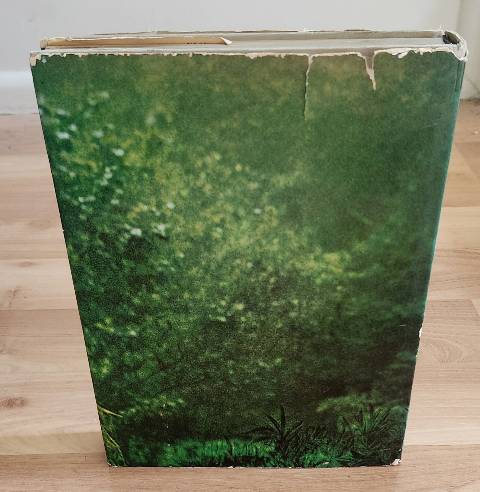 The End of the Game Peter Beard 1st Edition HC Dustjacket ICP Insert Read Detail