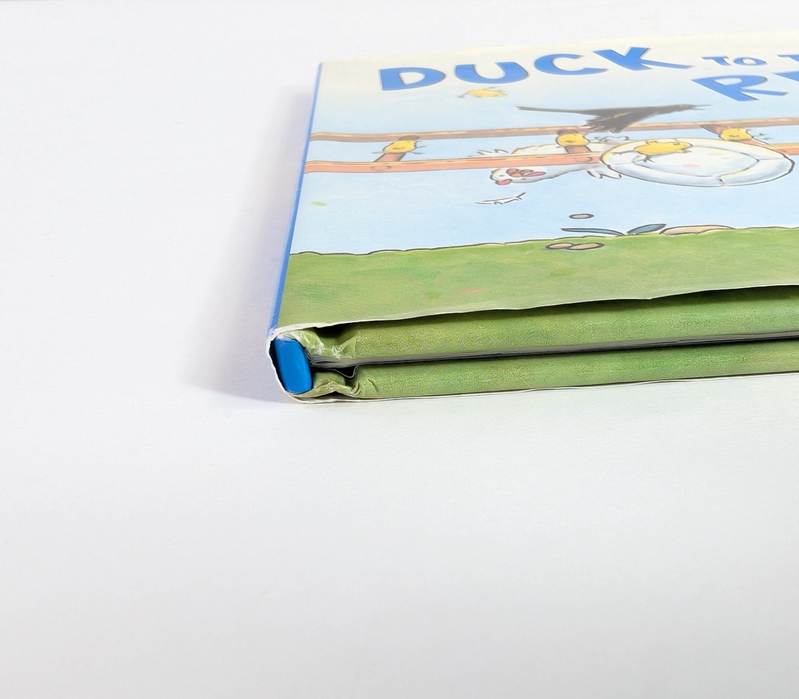 Duck To The Rescue John Himmelman Hardcover Book With Dust Jacket Kids Book