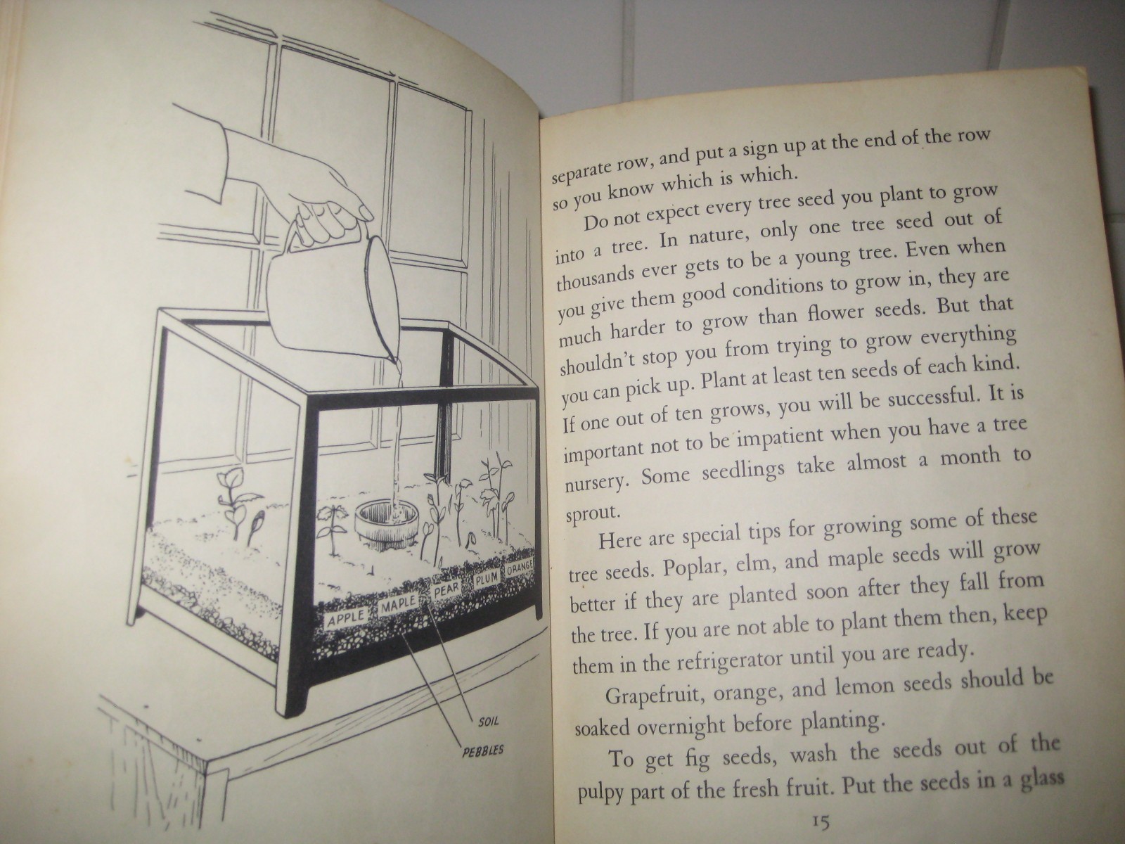 Play with trees/ Millicent Selsam/ Scherer/ 1950/ hardback/ William Morrow