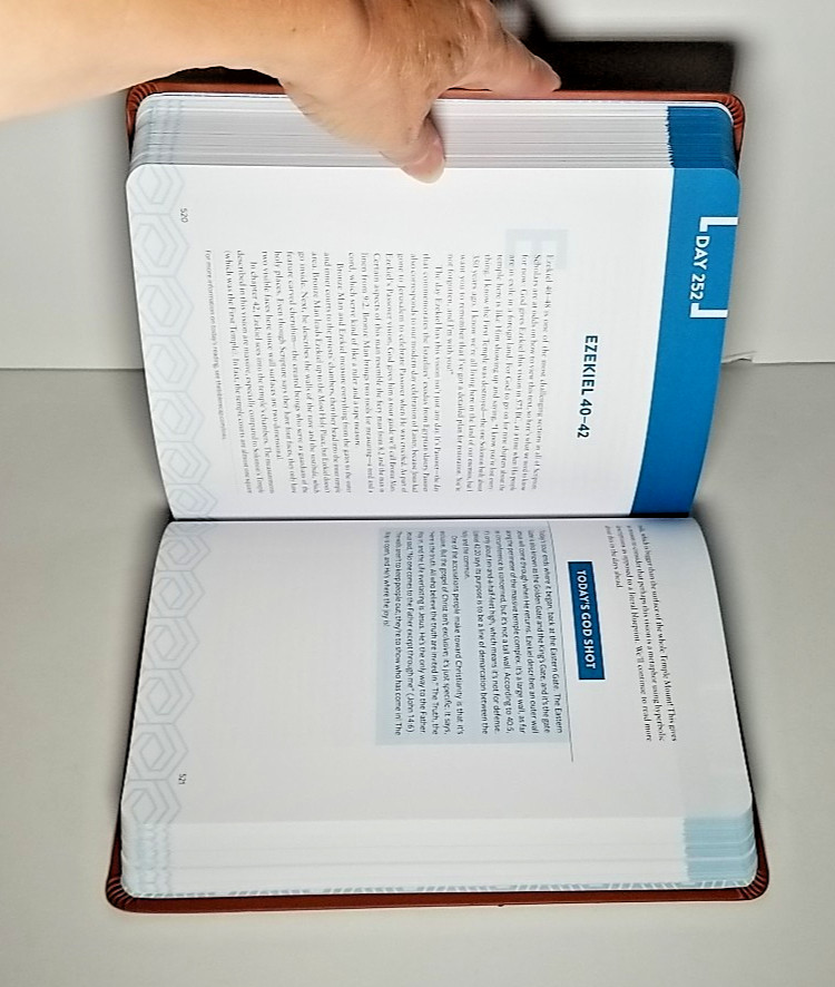 The Bible Recap Deluxe Edition: A One-Year Guide – Tara Leigh Cobble – Bethany