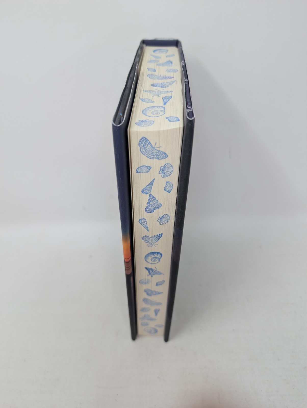 The Other World by Abbie Emmons – Signed & Stamped Edges Hand Done by the Author
