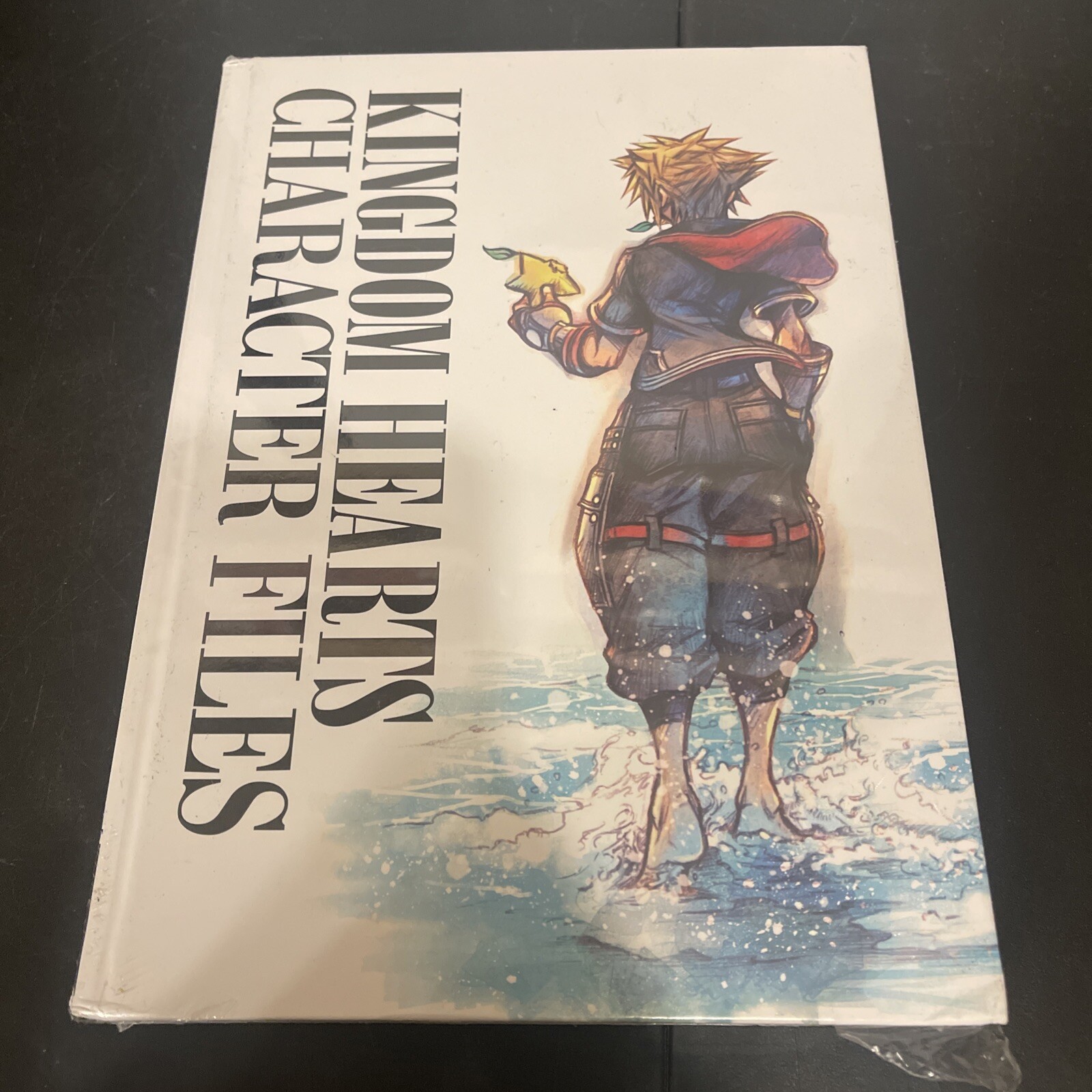 Kingdom Hearts Character Files by Square Enix (English) Hardcover Book