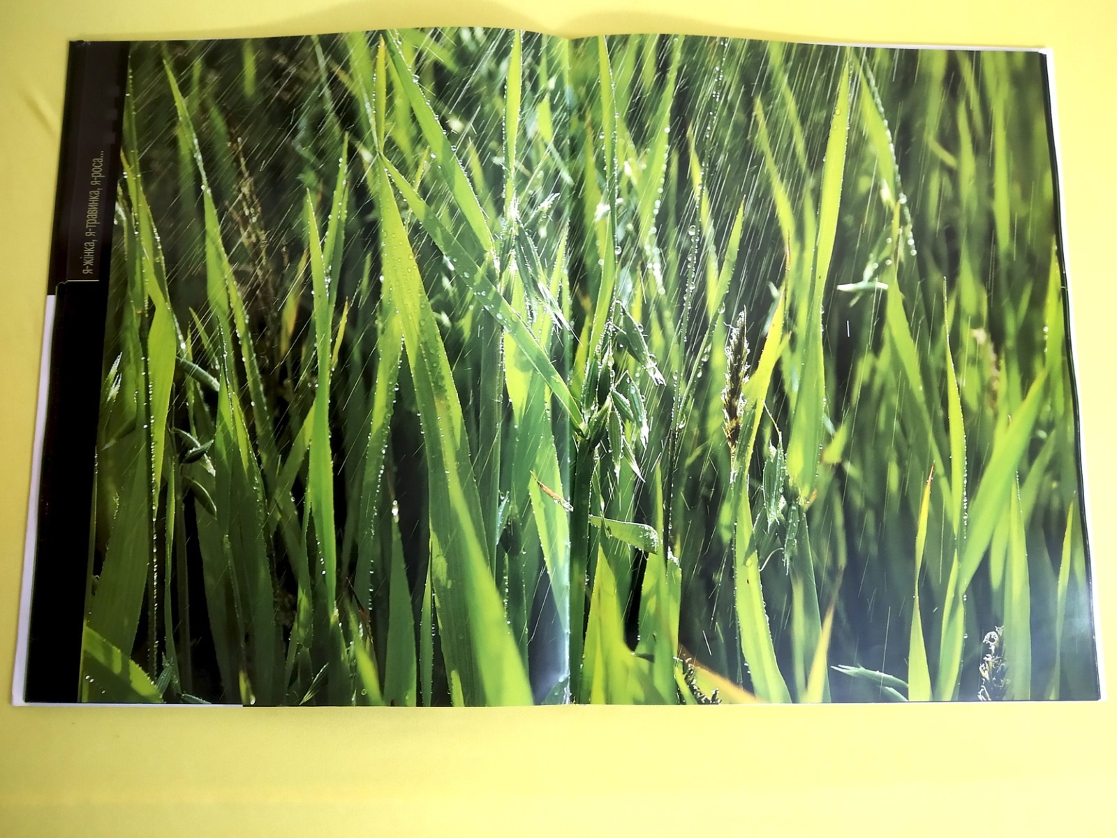 Erotic photo album I am a woman I am a blade of grass I am dew 2005 V. Pilipyuk