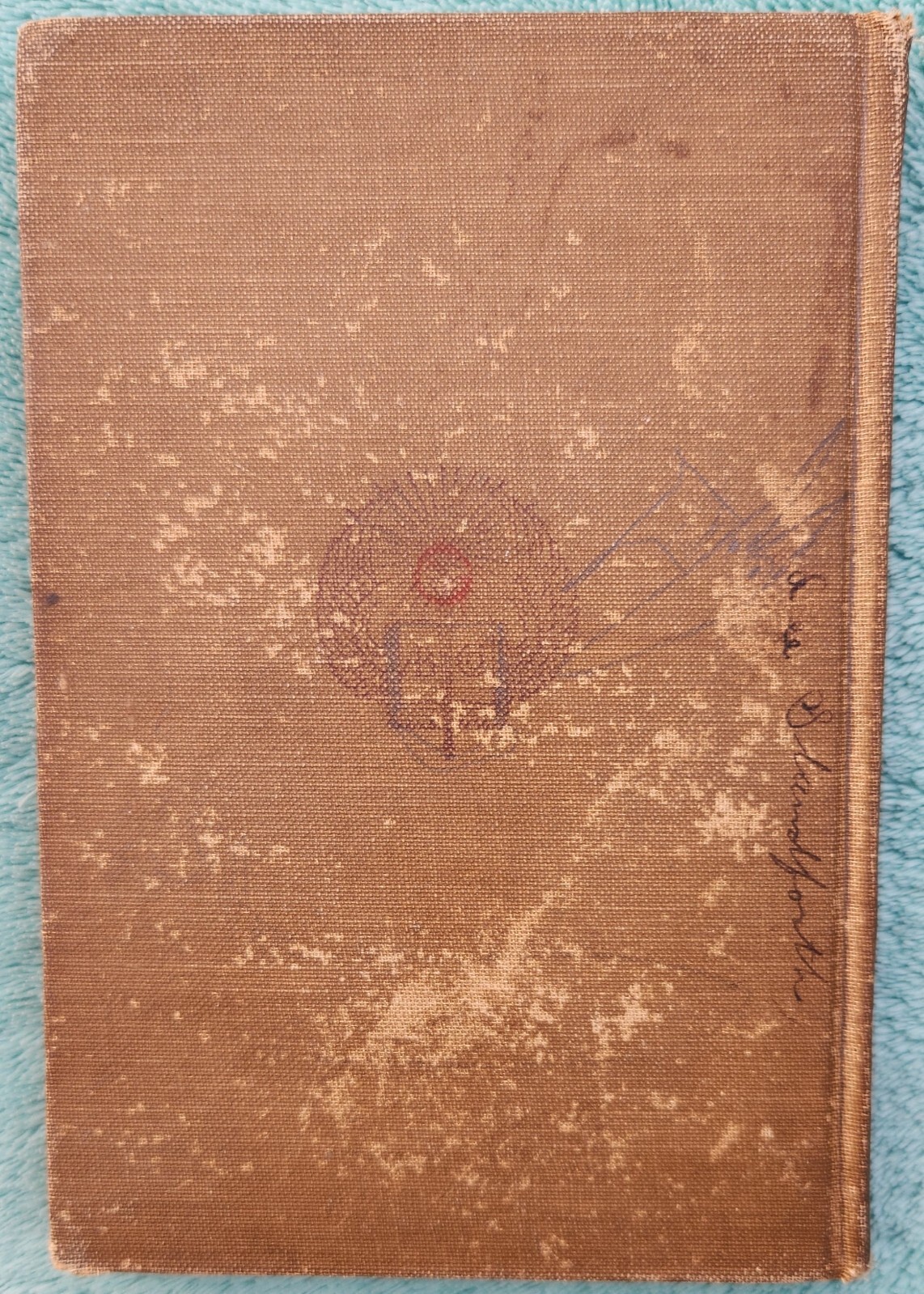 Scott’s Lady Of The Lake 1910 Hardcover 200 Pages – Library Copy