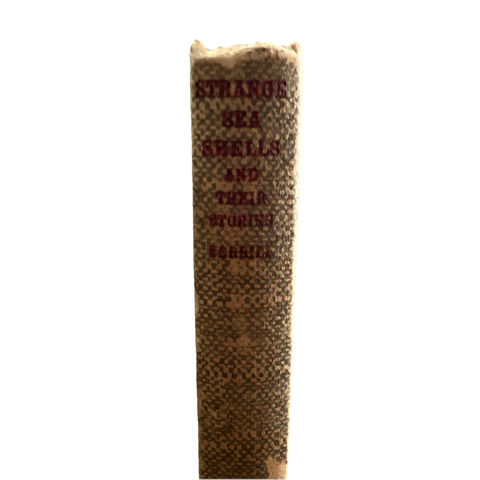 Vintage 1936 Strange Sea Shells and Their Stories Book A Hyatt Verrill Hardcover