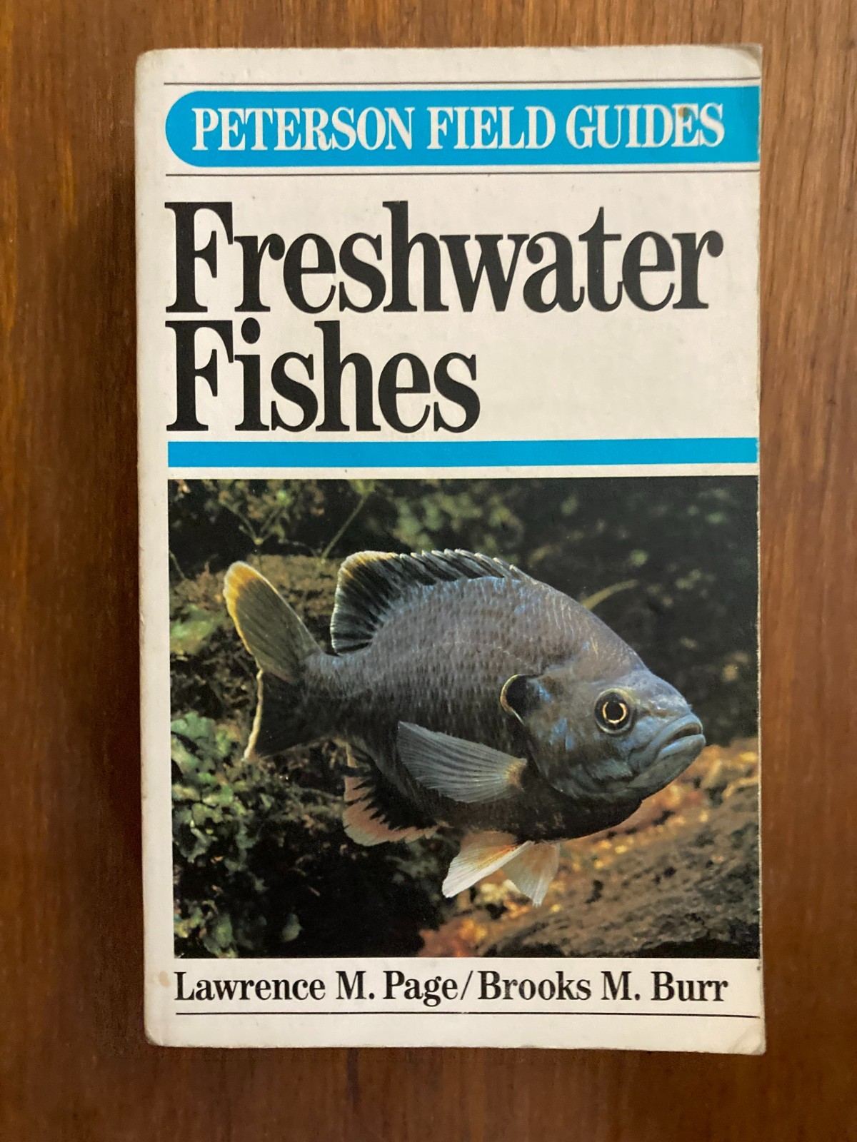 Peterson Field Guides Guide Freshwater Fishes Lawrence M. Page Brooks M. Burr 91