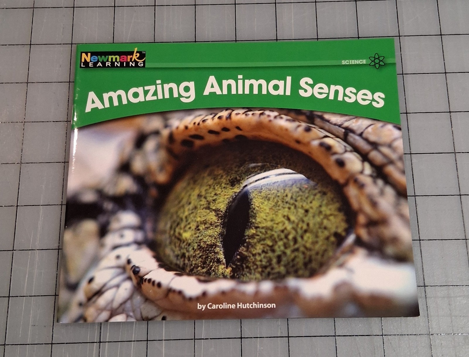 Newmark Learning Set of 12 Paperback by Carolyn Hutchinson Books