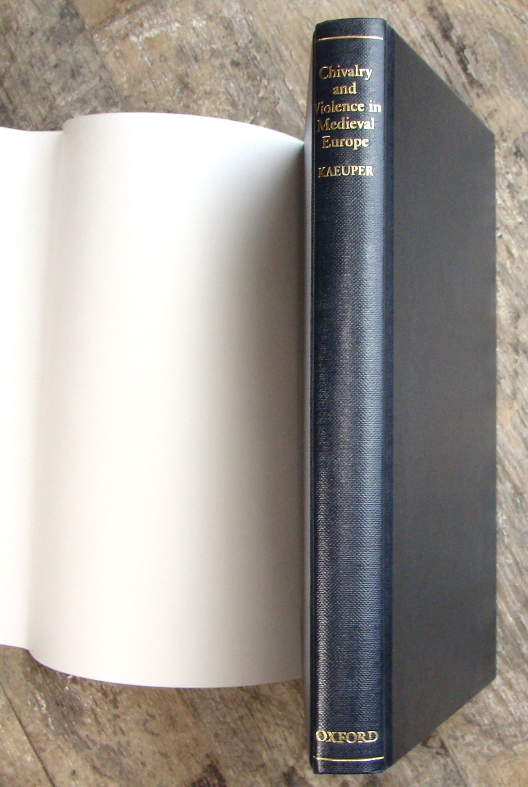 Chivalry And Violence In Medieval Europe ~1999 HC~ Oxford Women Knight Fight ⚔️