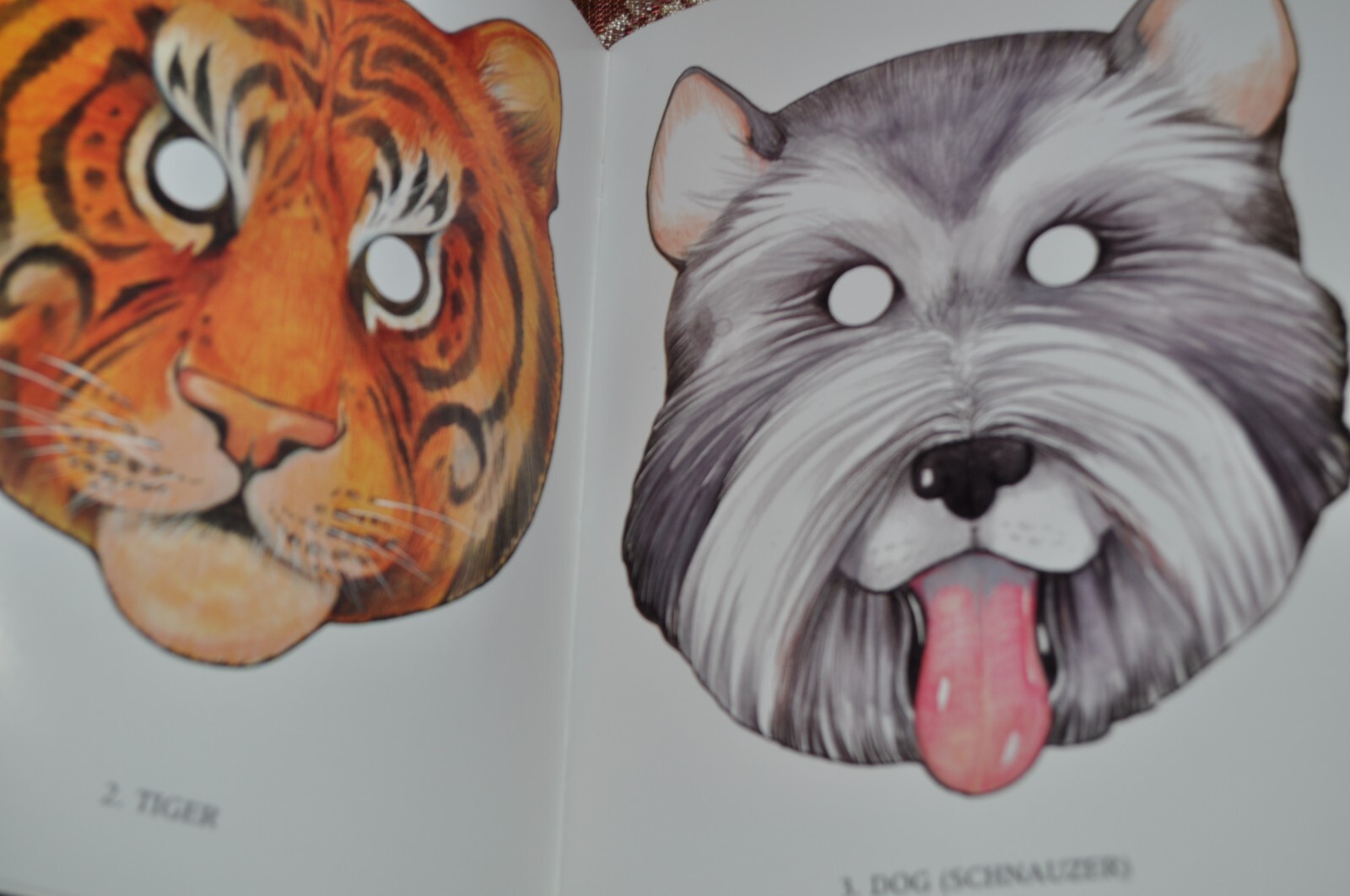 2 CUT AND MAKE ANIMAL MASKS IN FULL COLOR & COLOR ‘N CUT ANMAL MASKS BOOKS