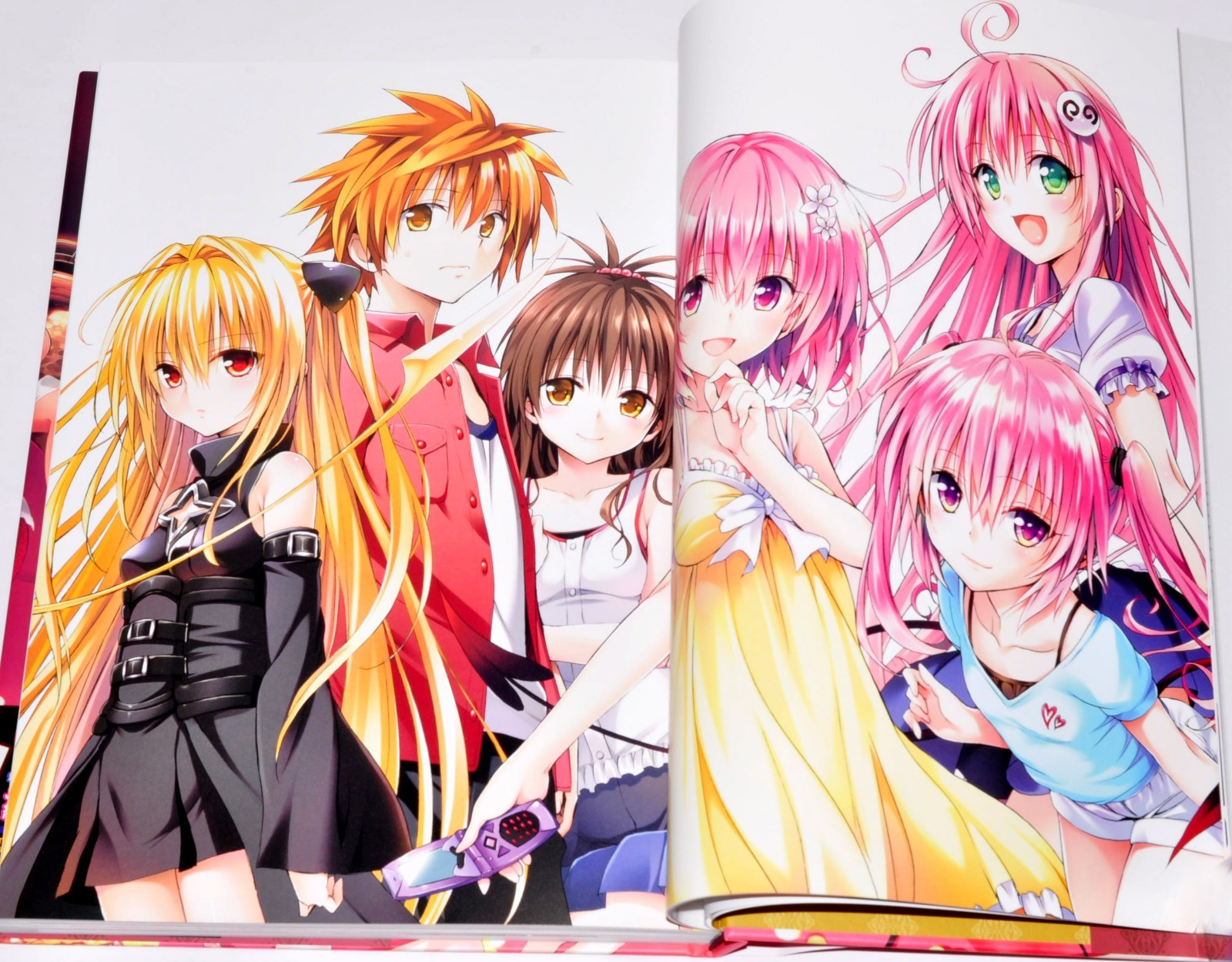 To Love-Ru Darkness Harem Gold Art Book Illustrations + Case 10th anniversary JP