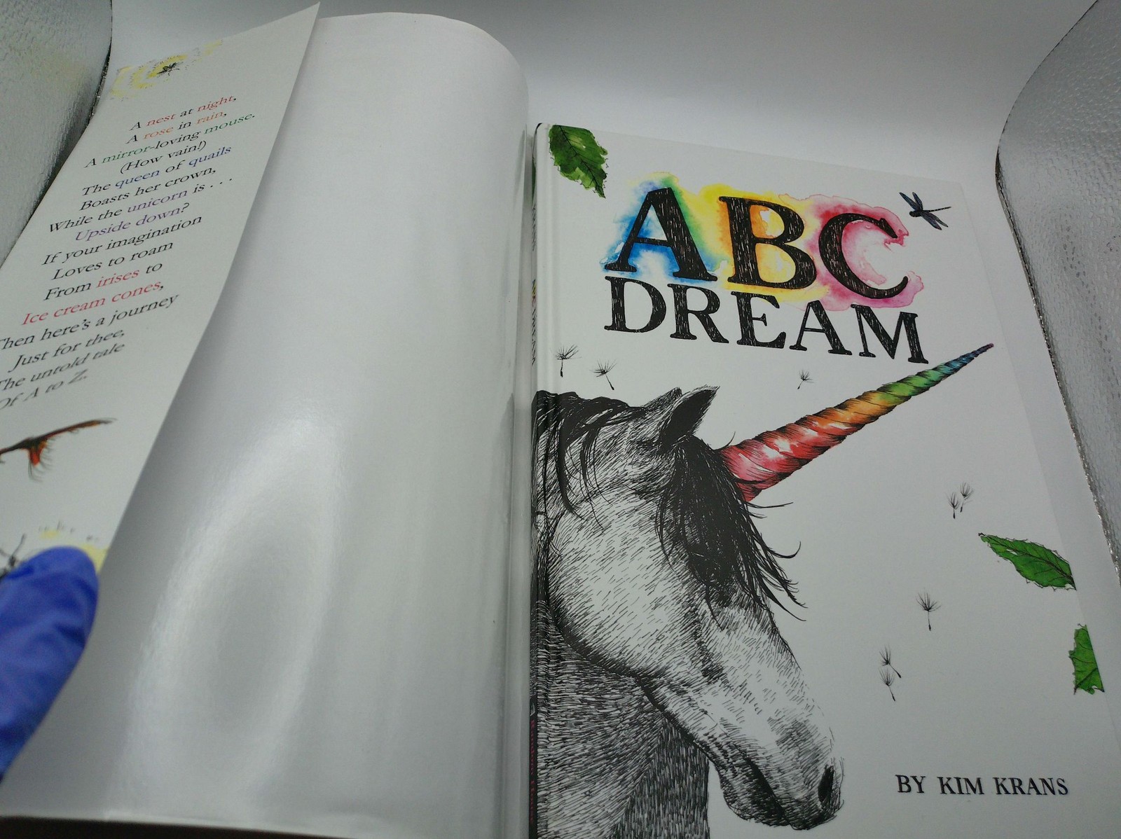 ABC Dream Kim Krans Hardcover First Edition 2016 Illustrated Children’s Book