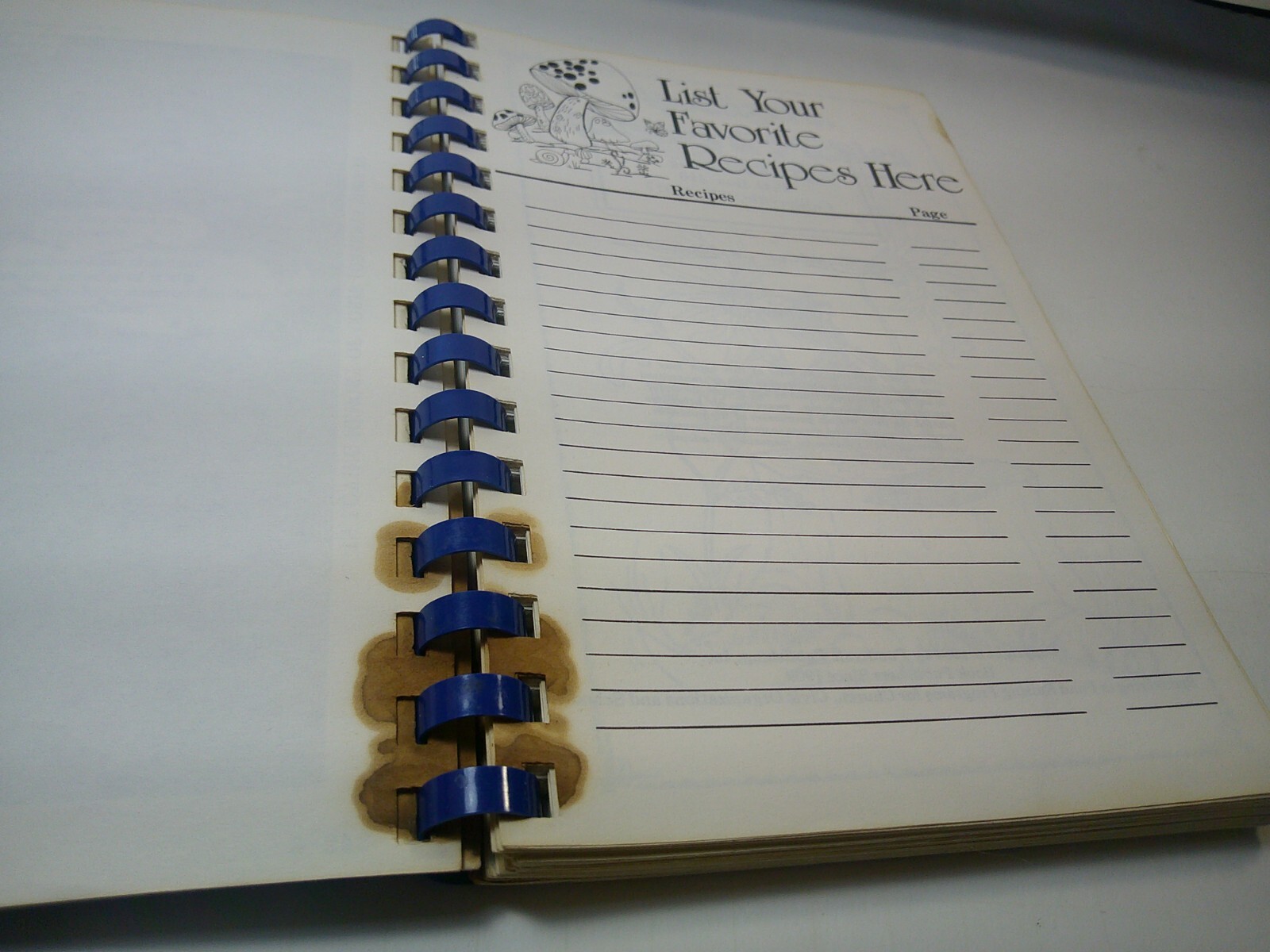 CHERISHED RECIPES MT VERNON UNITED METHODIST CHURCH COOKBOOK OLD SPIRAL SC