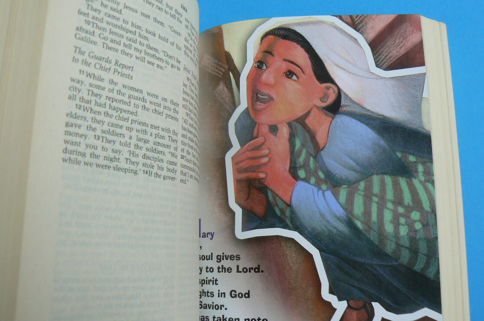 HOLY BIBLE New International Reader’s Version, NIrV Children’s Bible, All Clean!