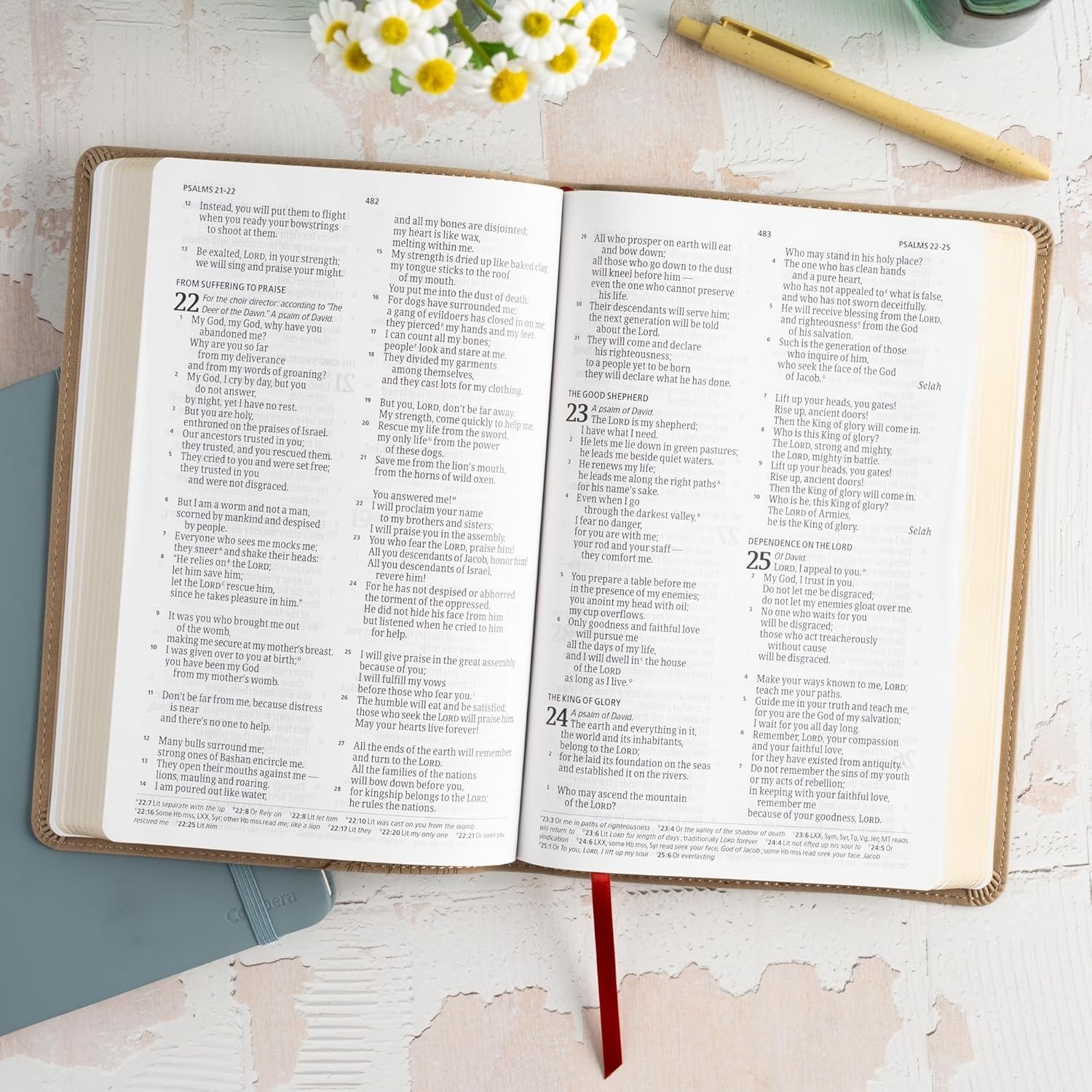 CSB Large Print Thinline Bible – Digital Study Edition in SuedeSoft LeatherTouch